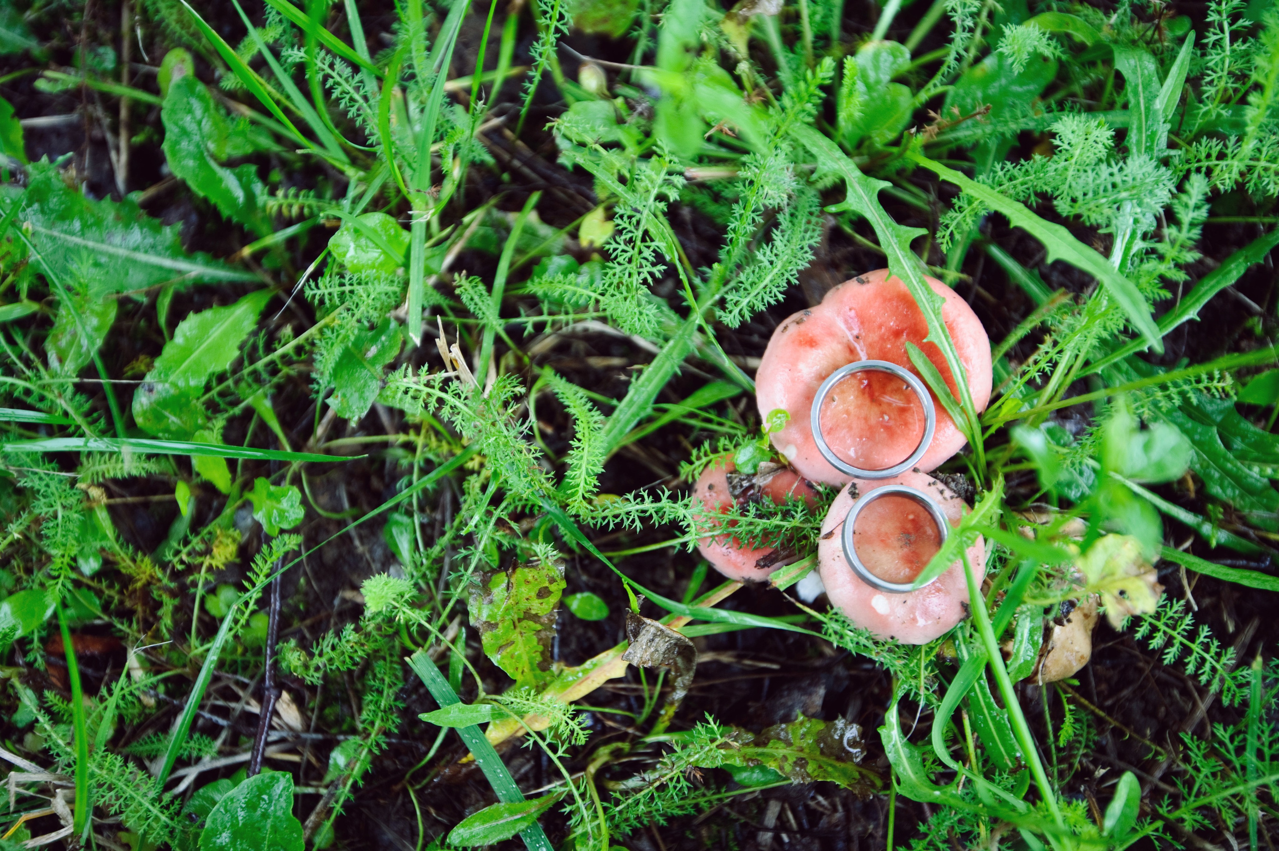 София и Евгений. Свадьба, Гжель. Семейный фотограф Анна Дубовская