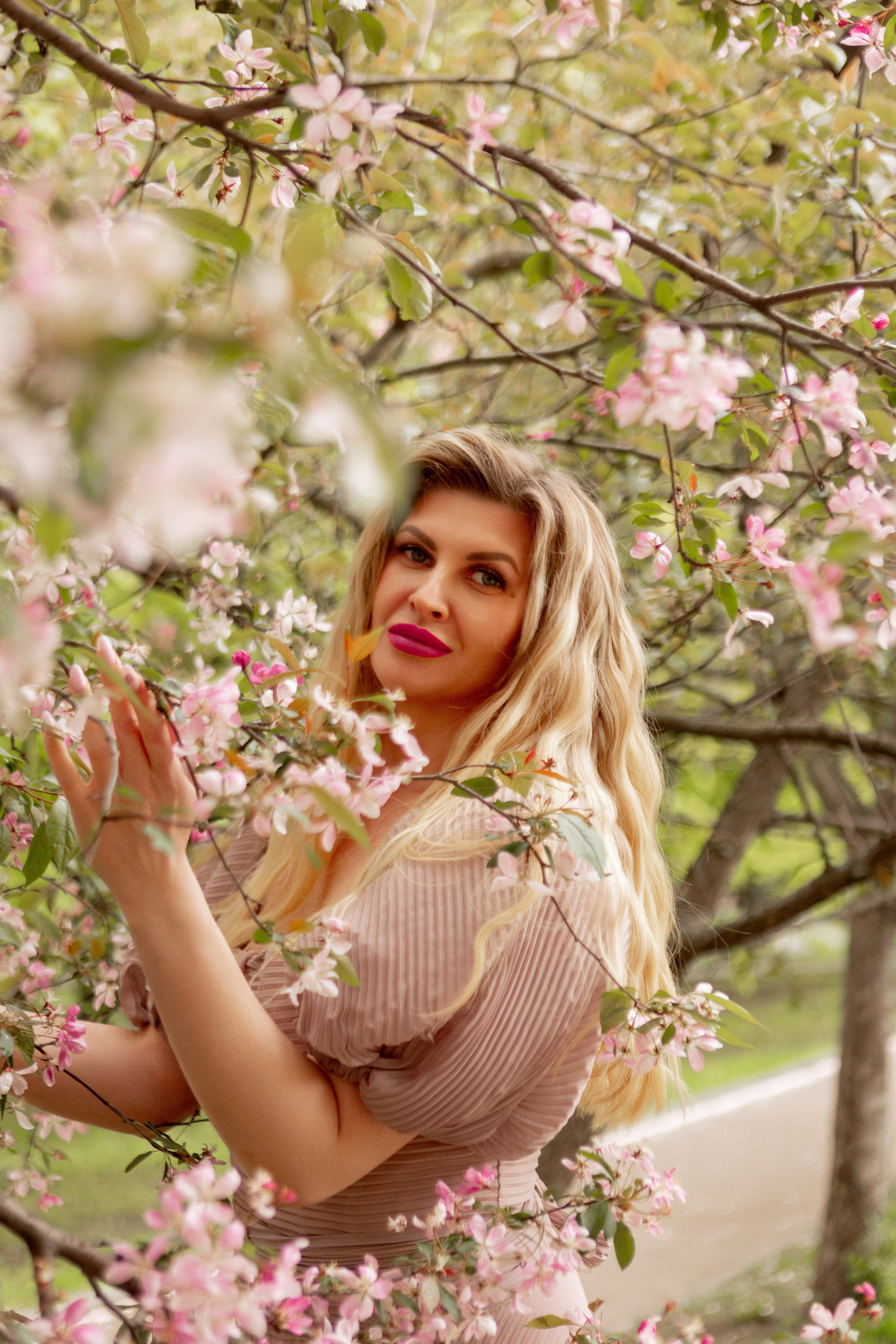 Розовые яблони. Наталья Косьянова. Ваш фотограф. Москва