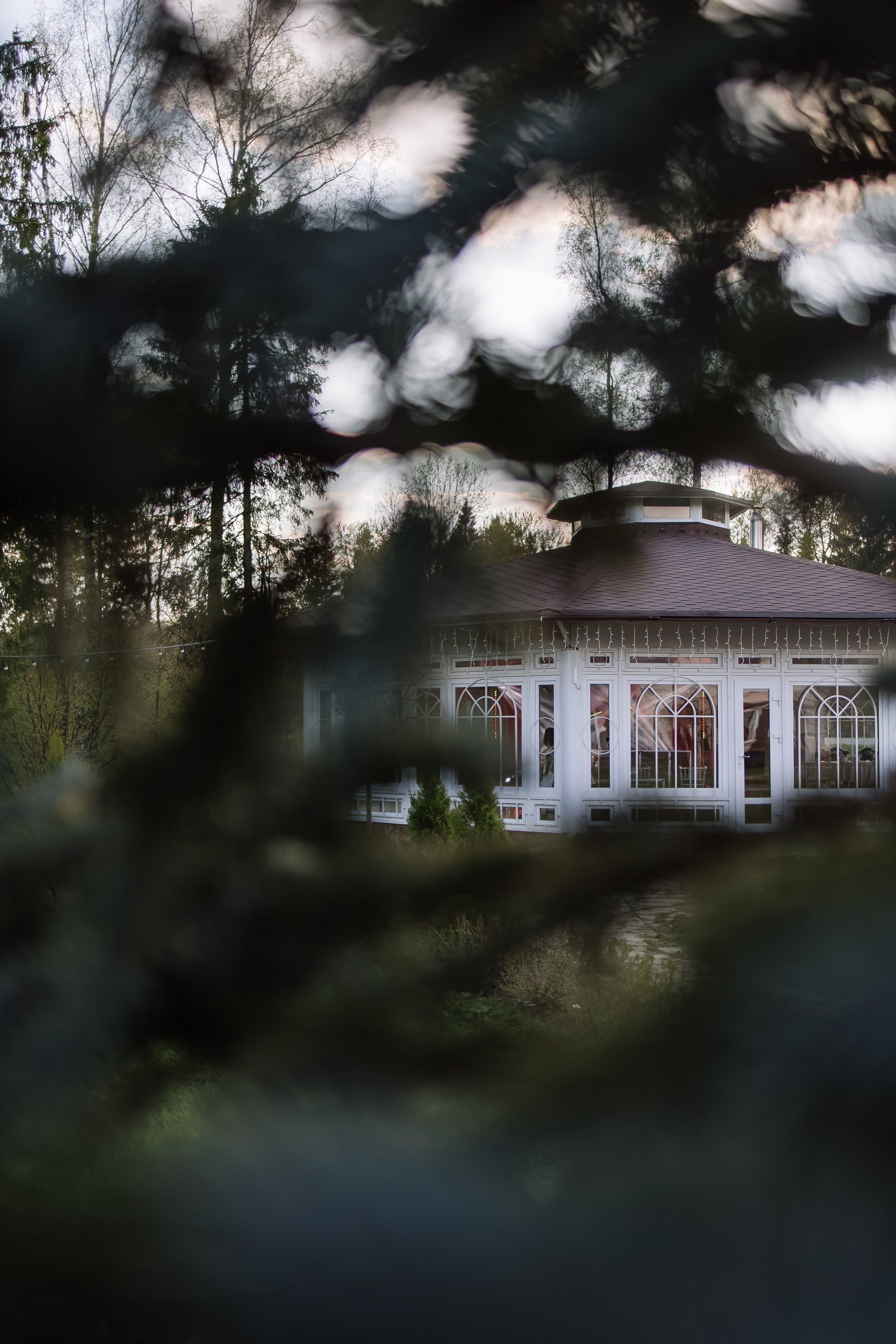 Виталий/Алеся. Свадебный фотограф