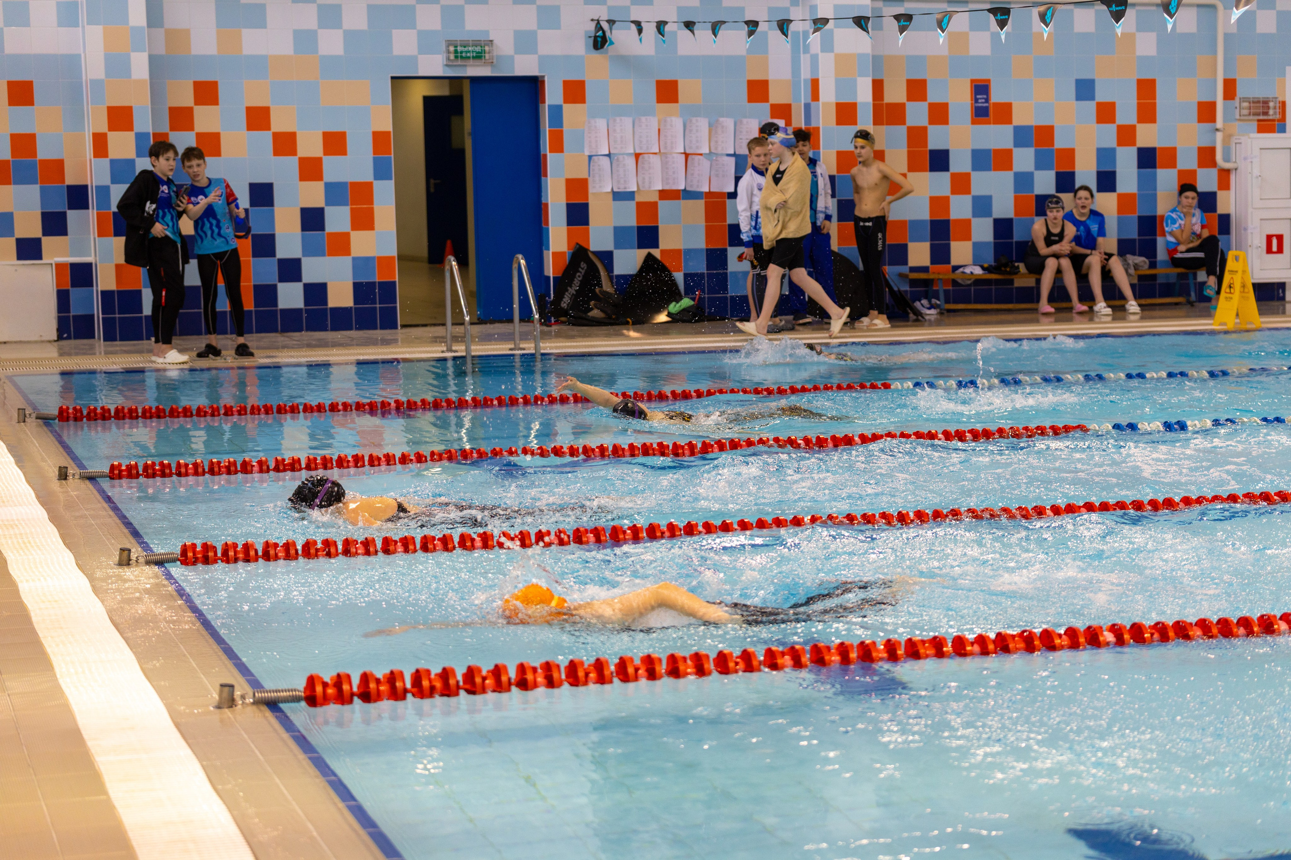 Плавание в ластах (разные годы, более 10 репортажей выборка пополняемая). Фотограф в Туле Крупский АнДРей. Фотостудия «КАДР71» в Туле