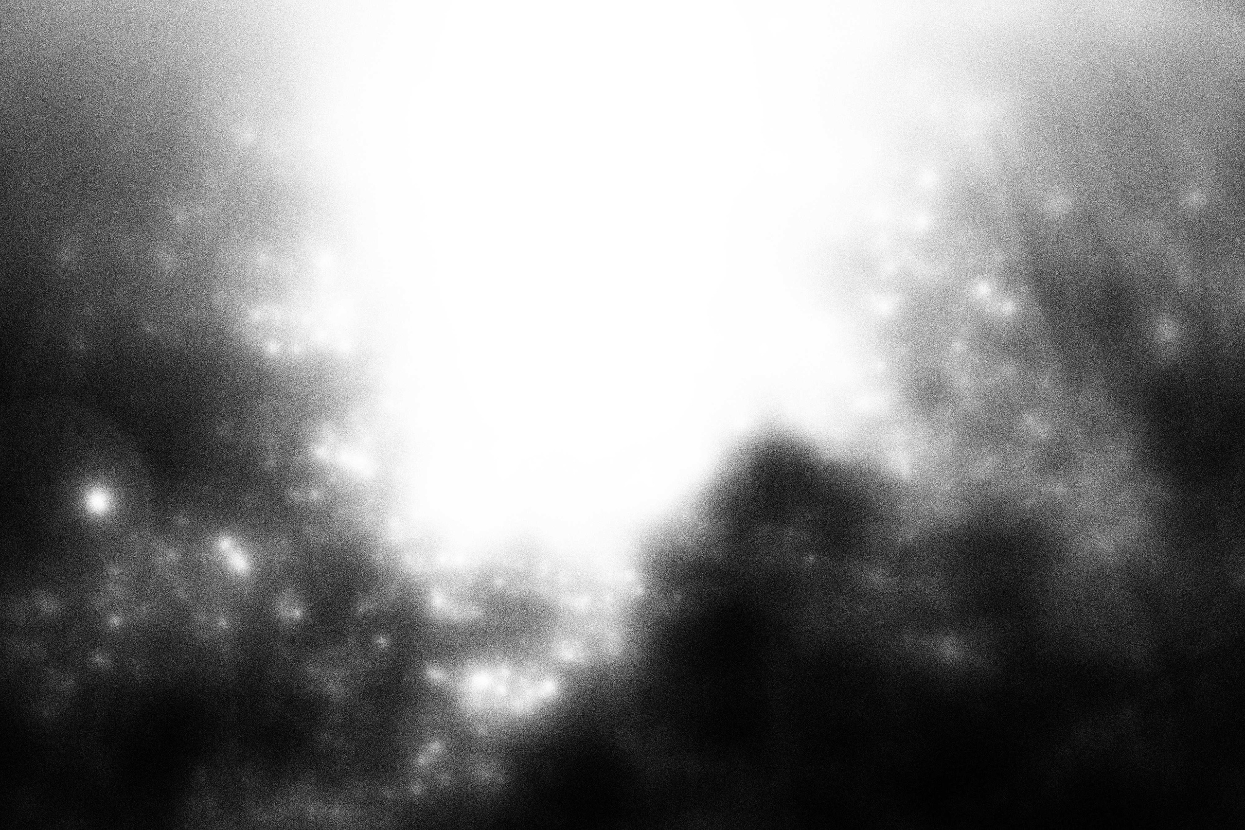 «Видеть. Чувствовать. Сохранять»