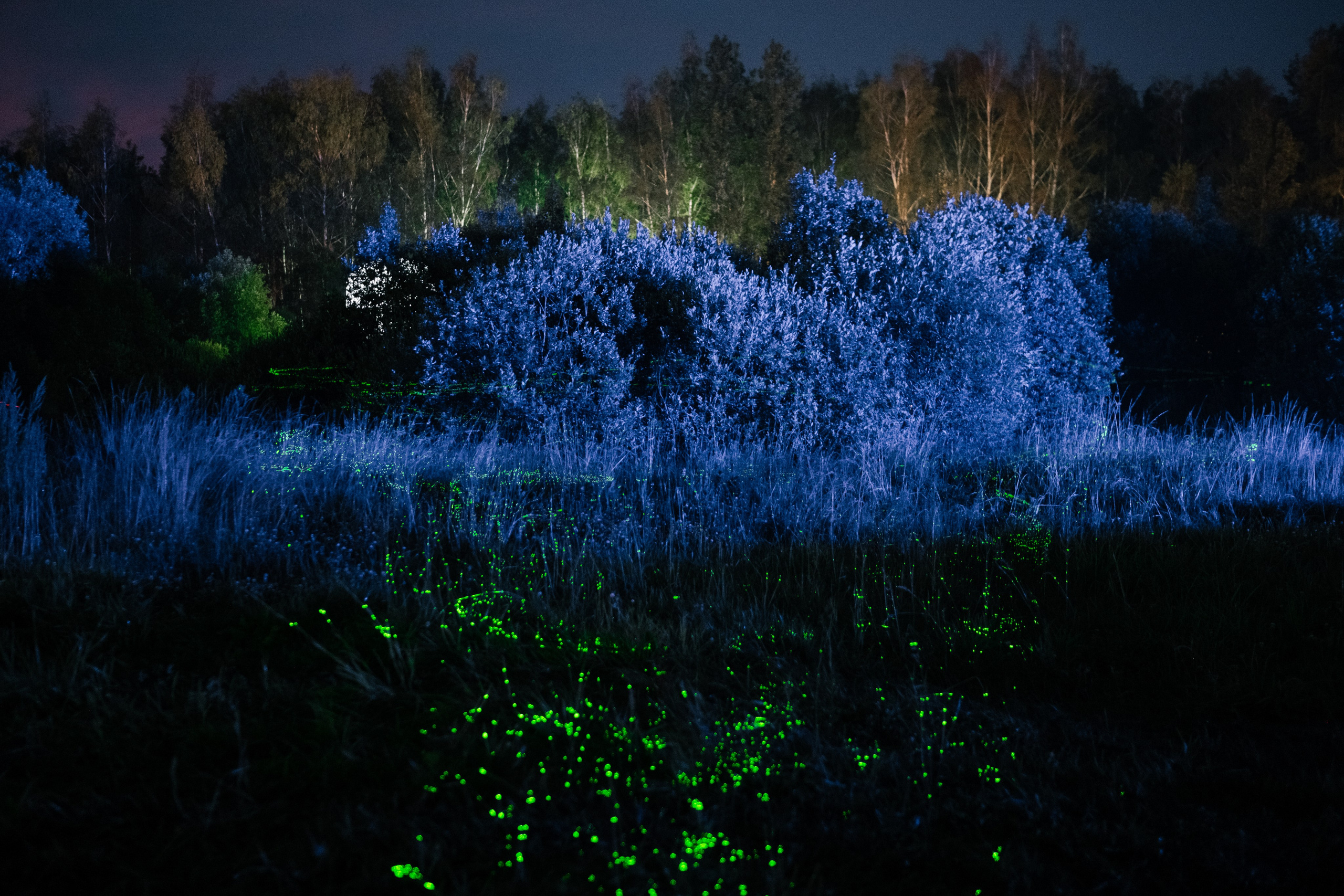 Репортажи. Портретный и репортажный фотограф в Санкт-Петербурге Дарья Сибирякова