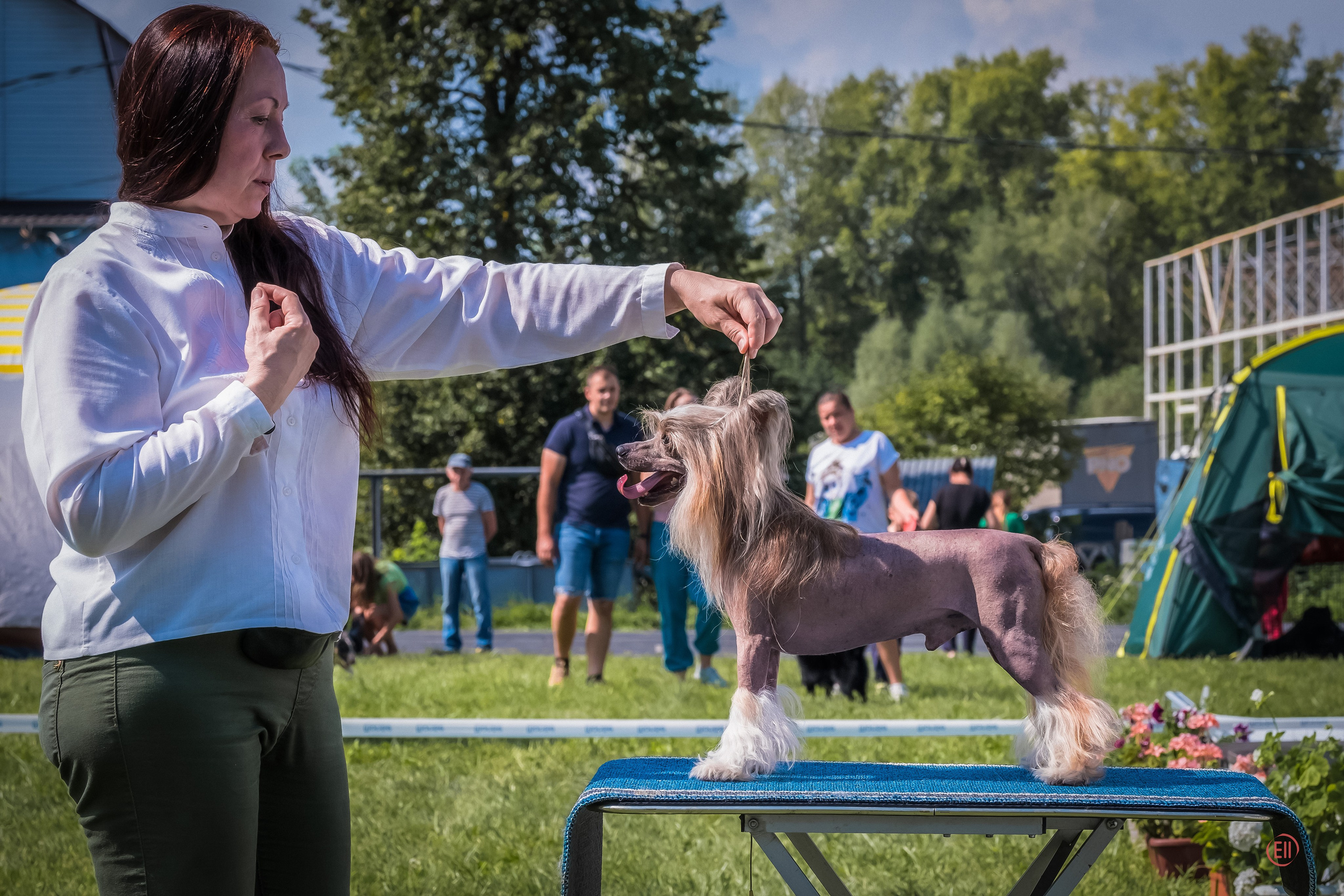 Друг человека. Фотограф в Москве