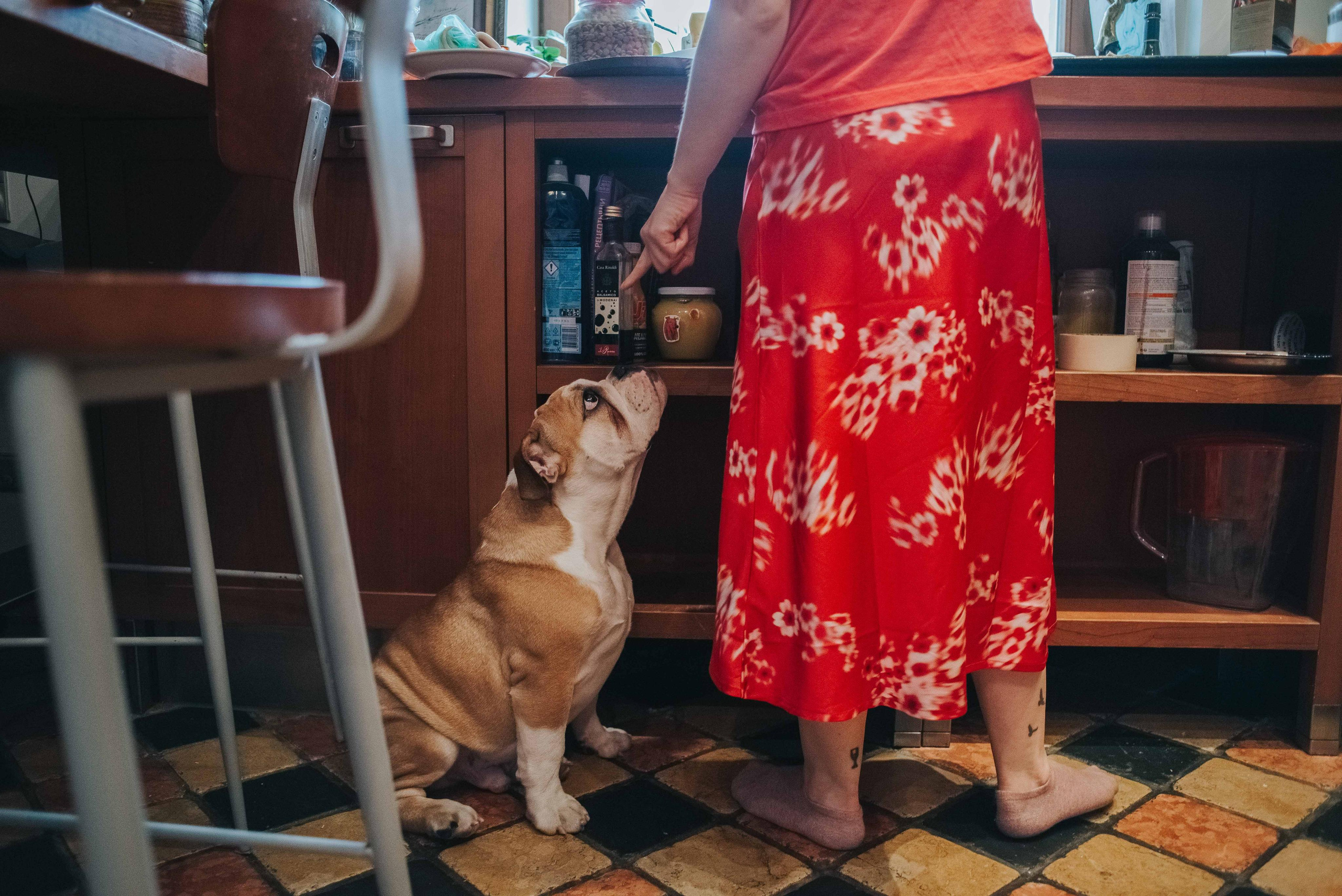 Семейный и детский фотограф Александра Архипова Москва