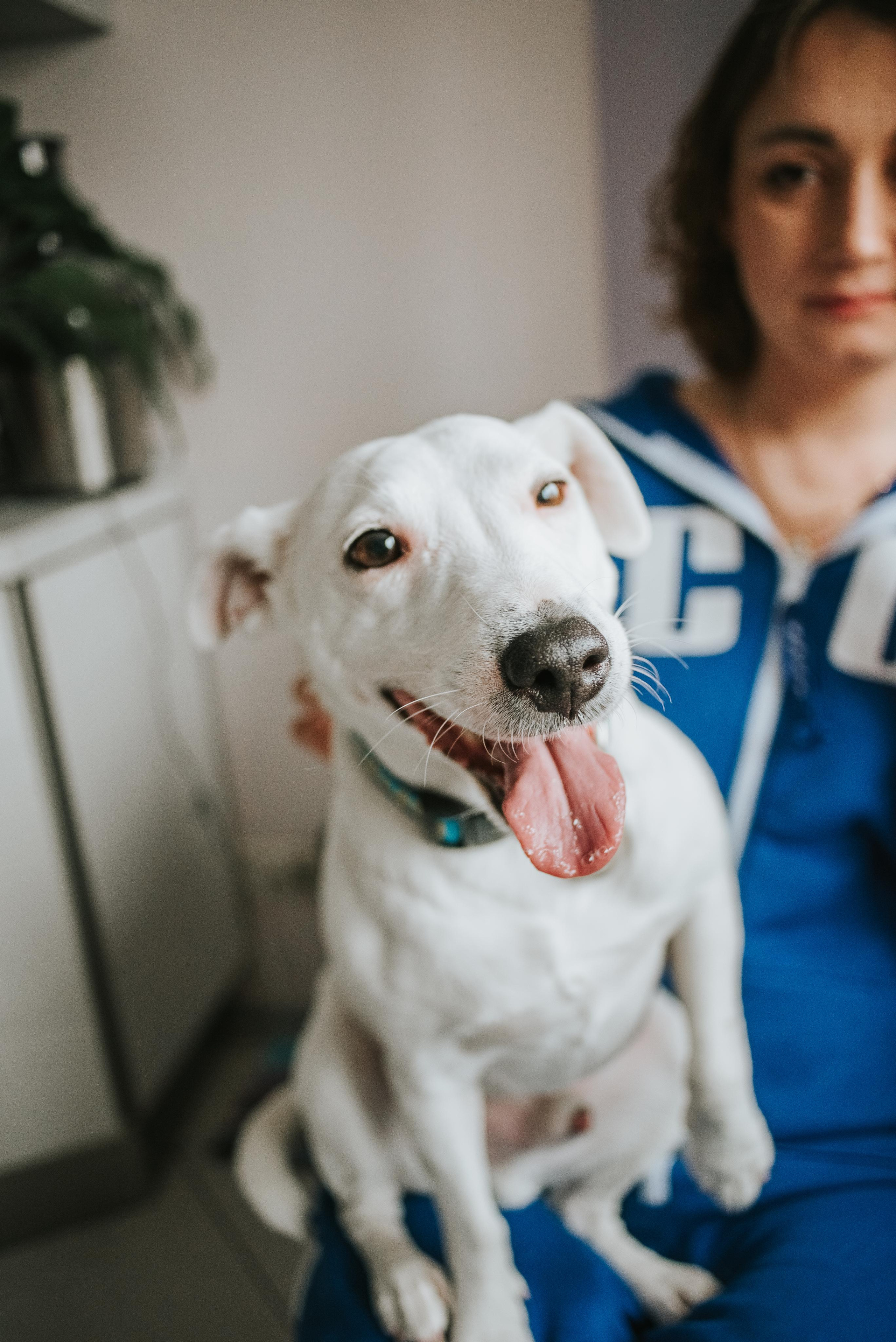 Семейный и детский фотограф Александра Архипова Москва