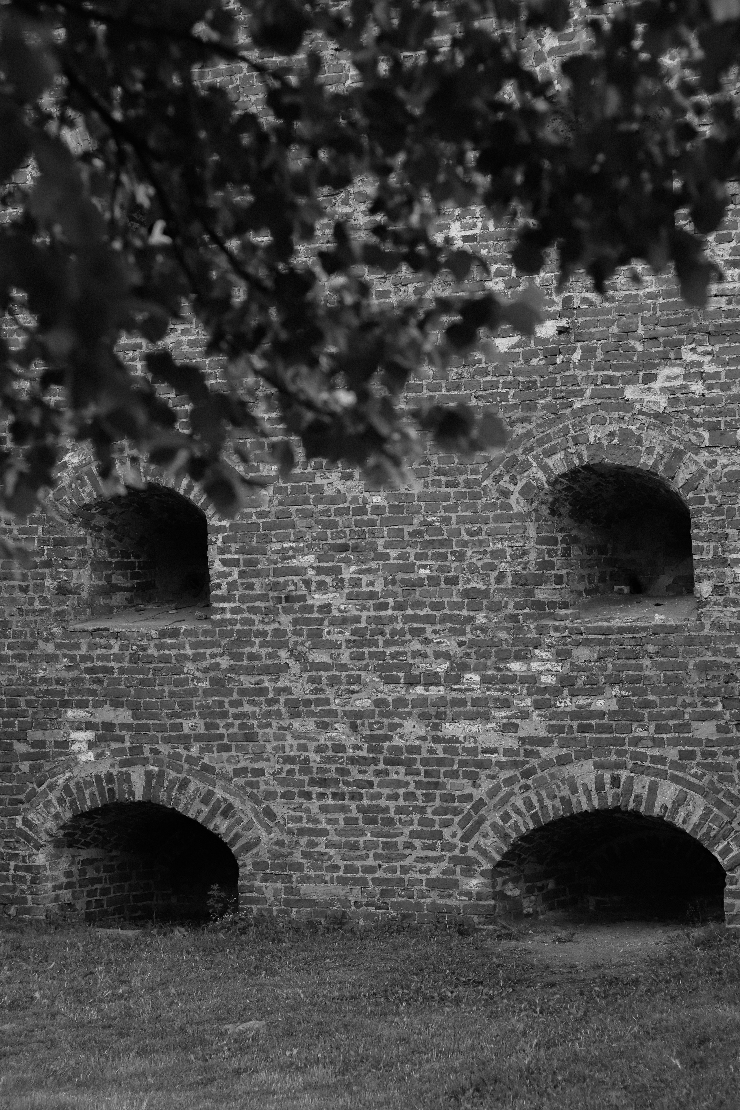 Contour. Фотограф и исследователь фотографии из Санкт-Петербурга Елизавета Веприцкая