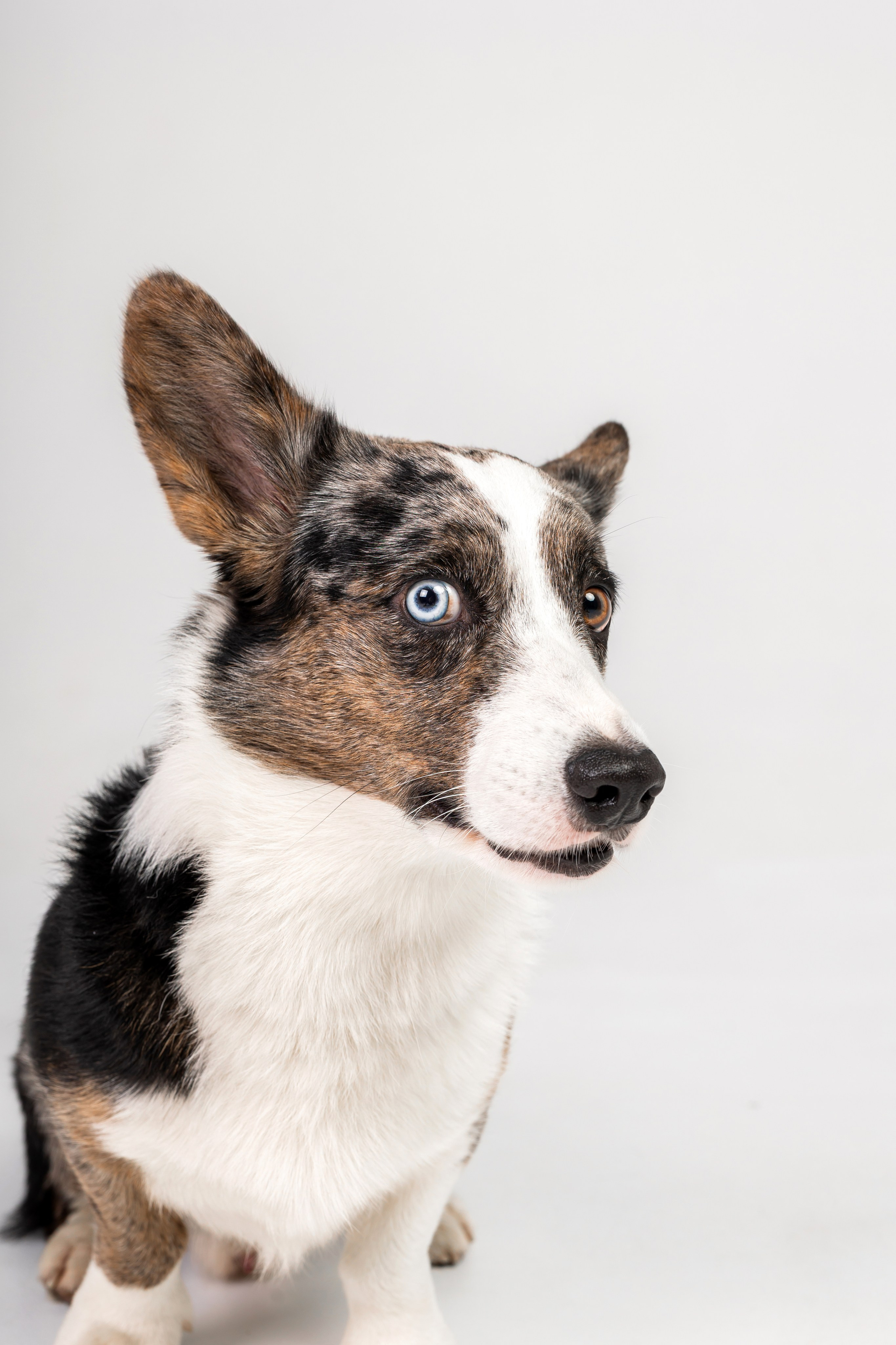 Анатолий и Рагнар