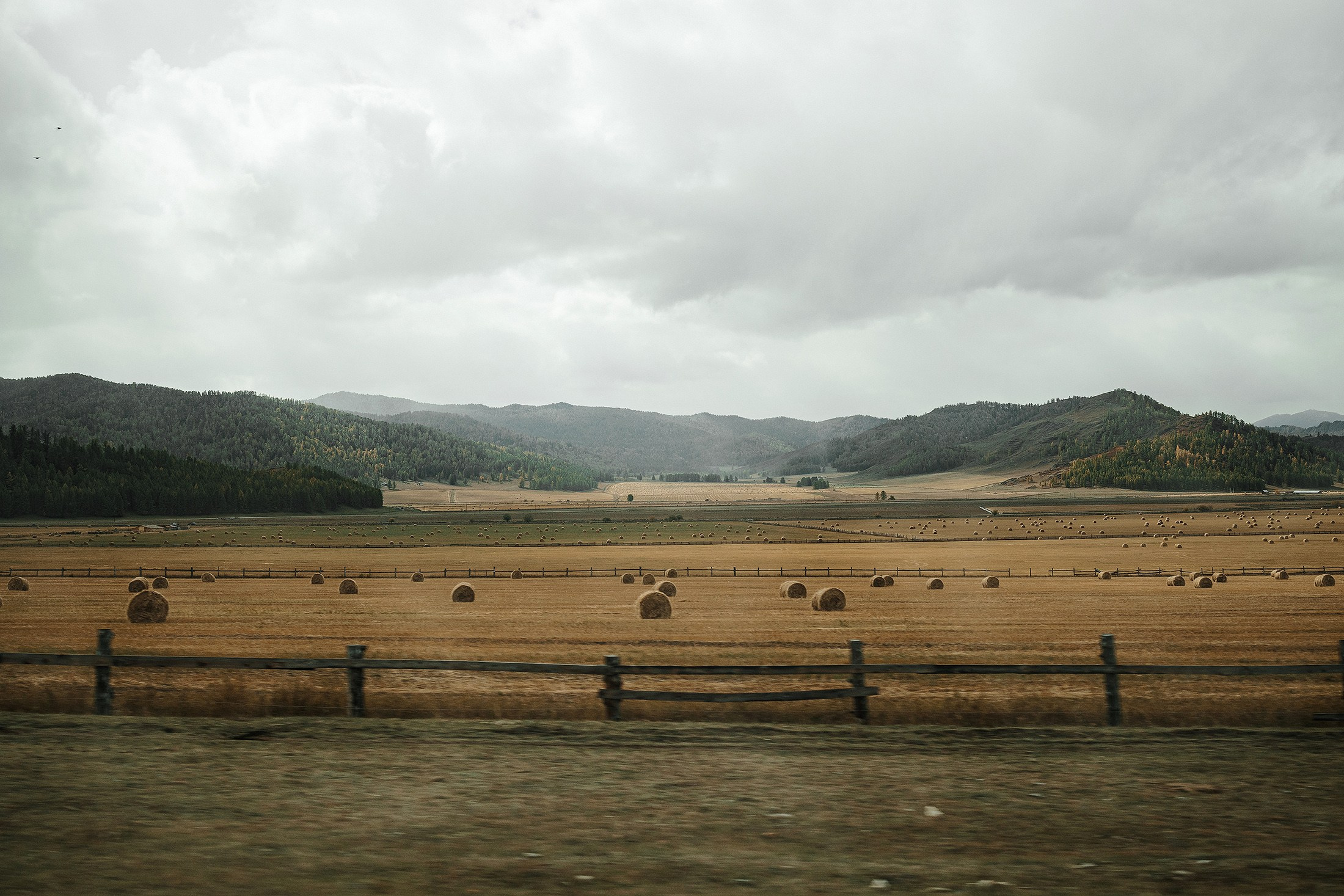 Женя и Яна. Свадебный фотограф в Москве и МО Александр Ласковенков