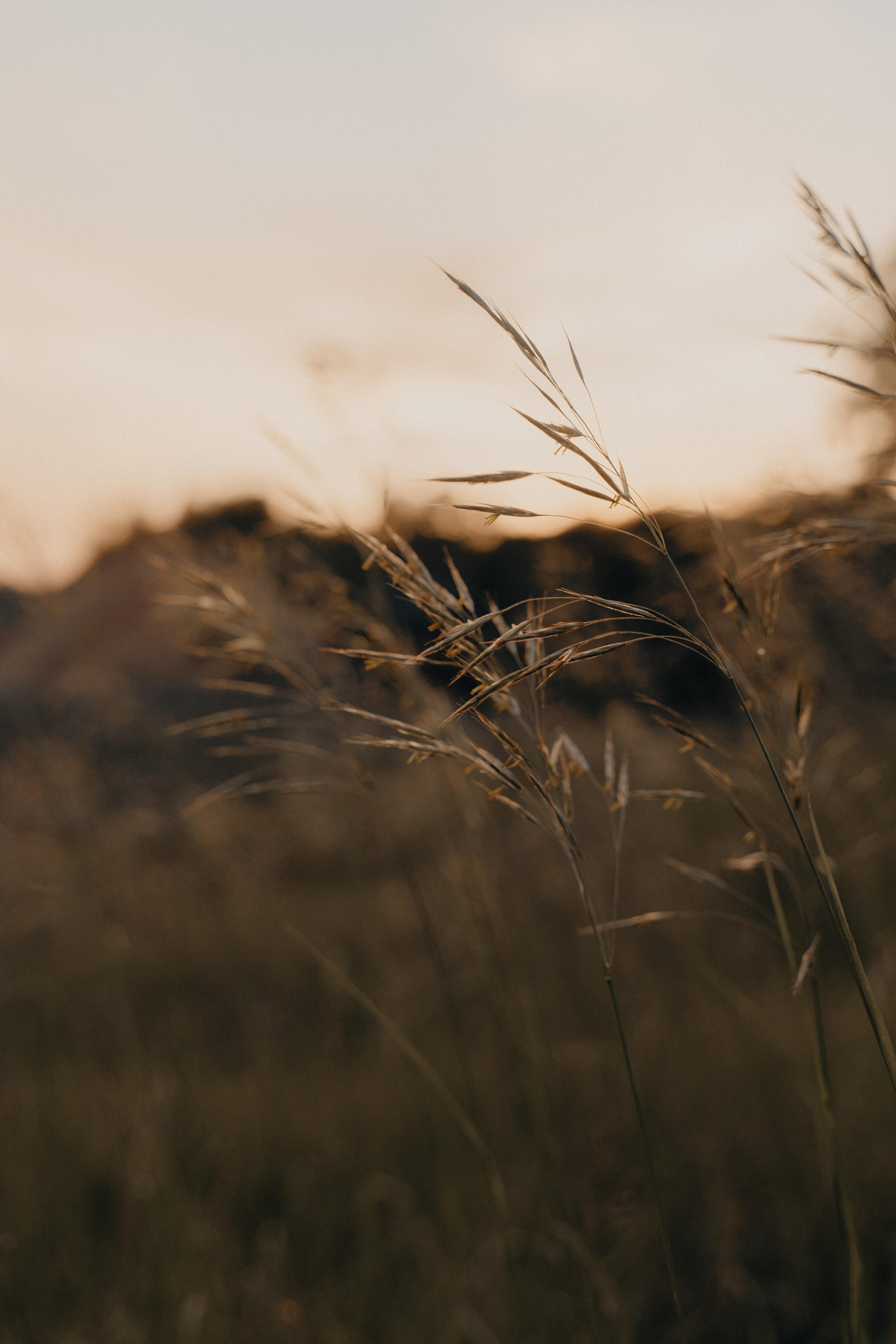 Тепло внутри. Свадебный фотограф в Белгороде Антон Каменев