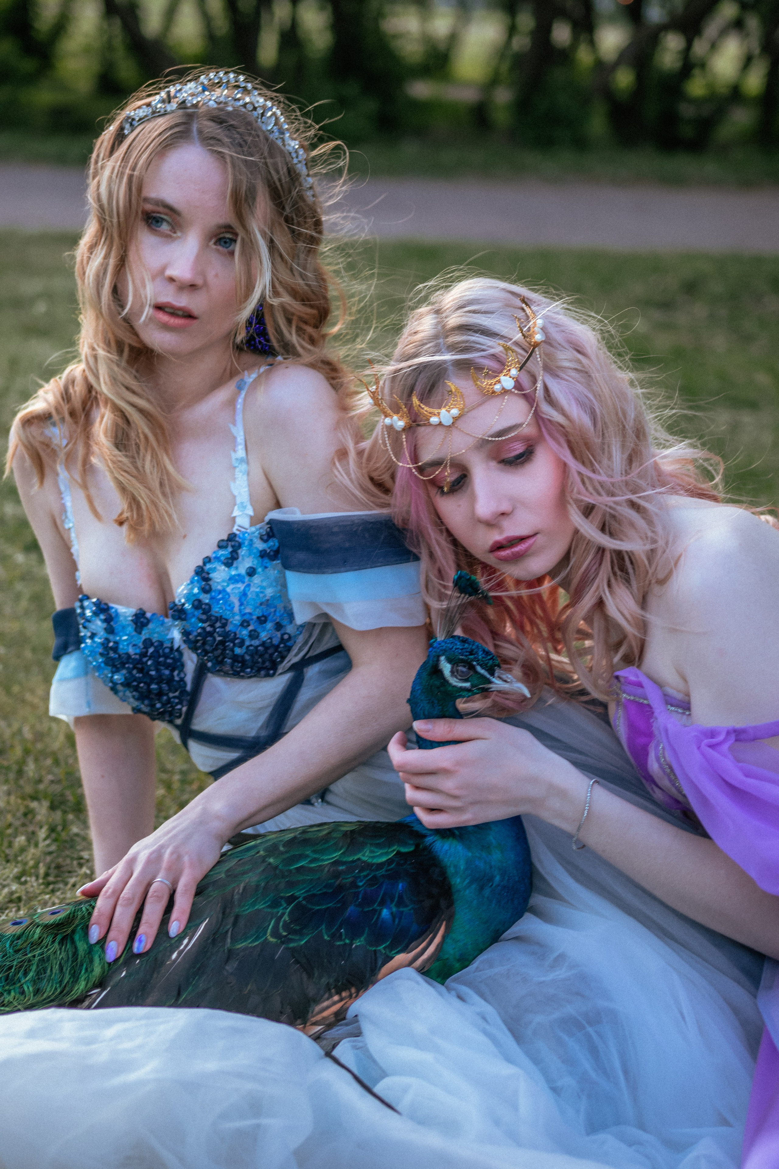 Павлин. Elena Sova — семейный и женский фотограф в Санкт-Петербурге