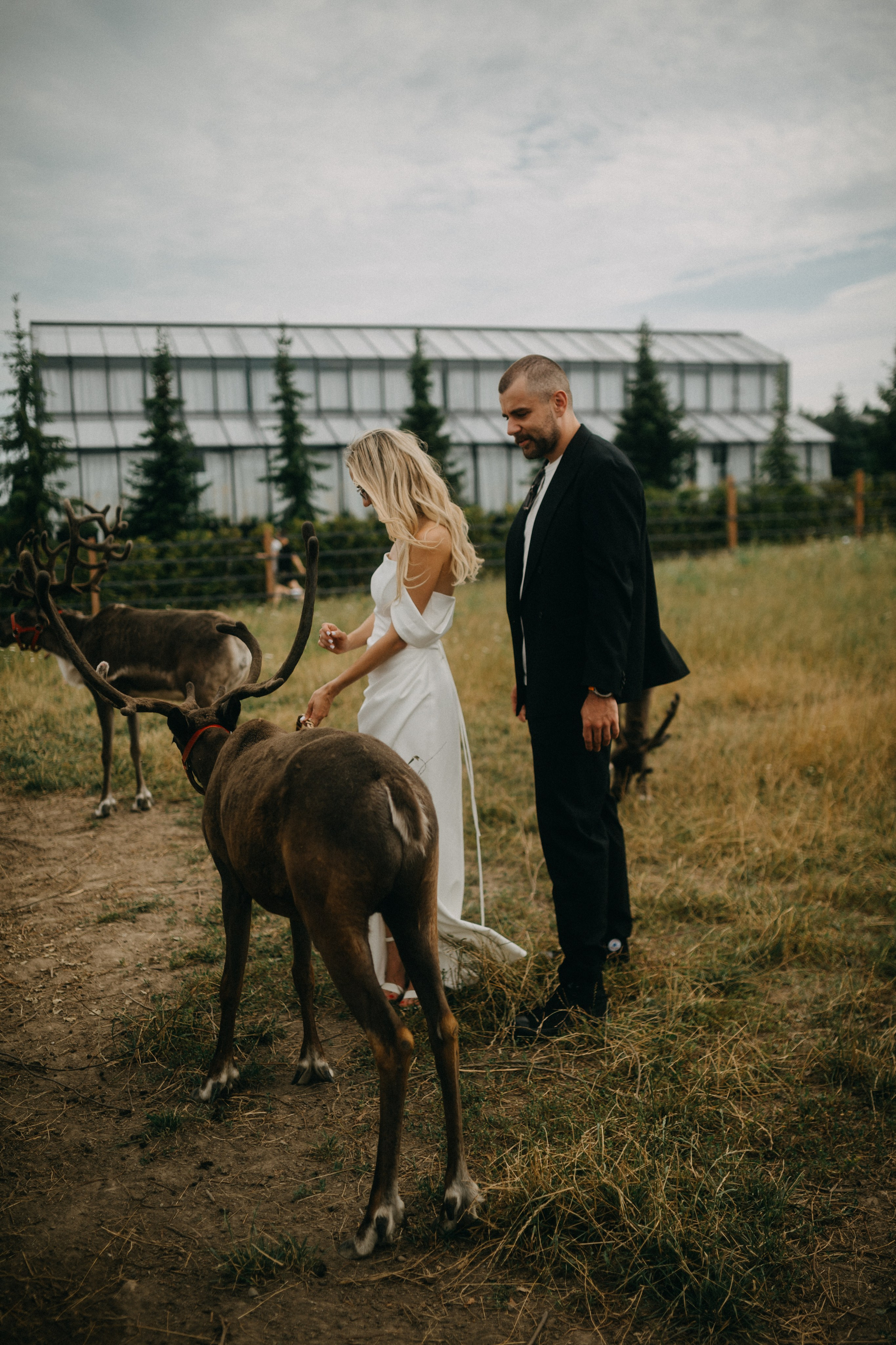 Данила и Кристина 29.07.25 весь день. Фотограф в Санкт Петербурге Лара Великова