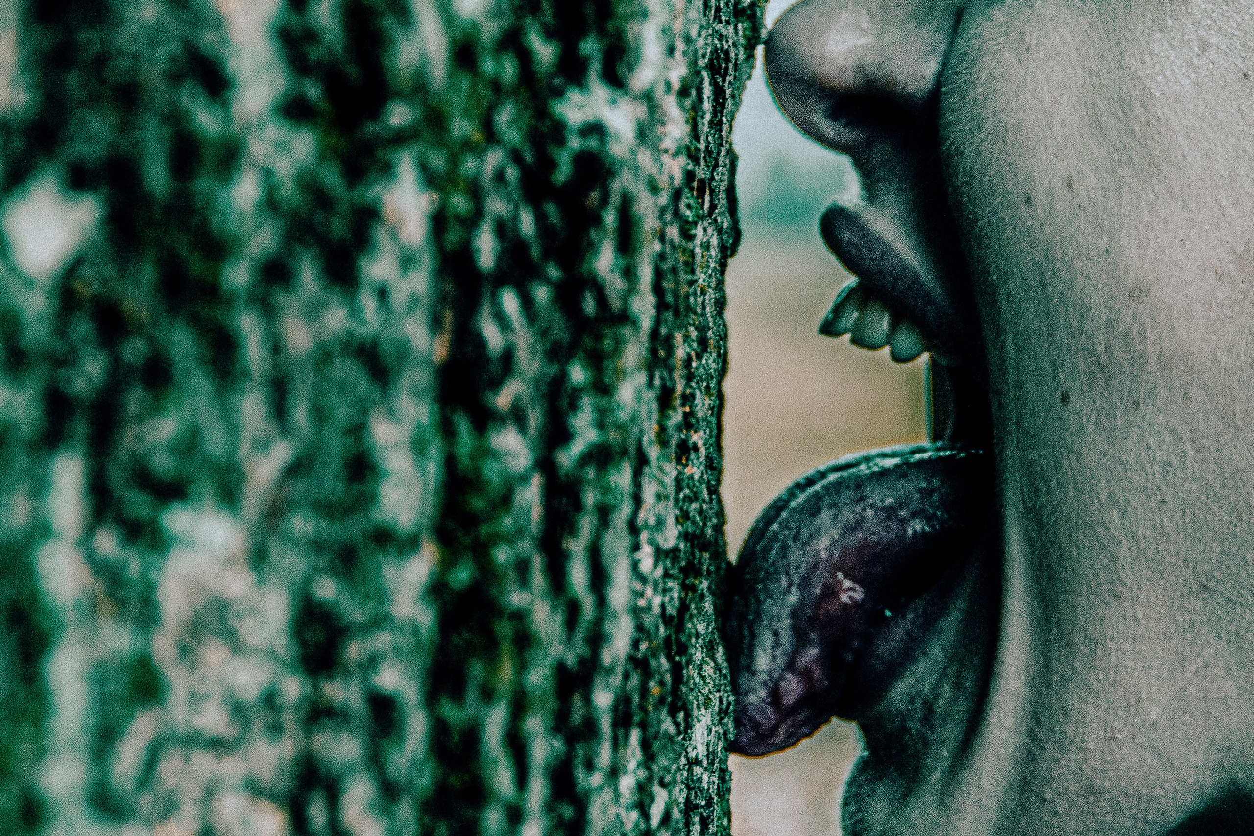 LAMARA. Алан Рунно. Арт — Фотограф. Санкт-Петербург