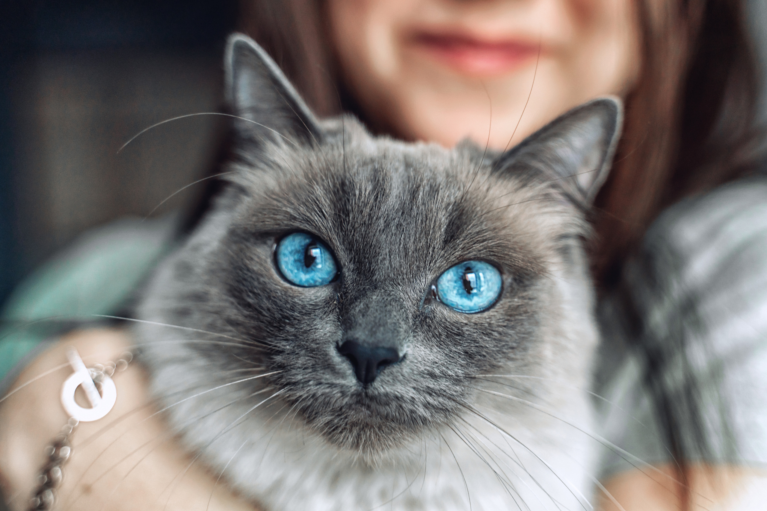 Домашняя «лайф» съемка. Фотограф \ Видеограф на Крещение, Венчание Москва| Семейные съемки