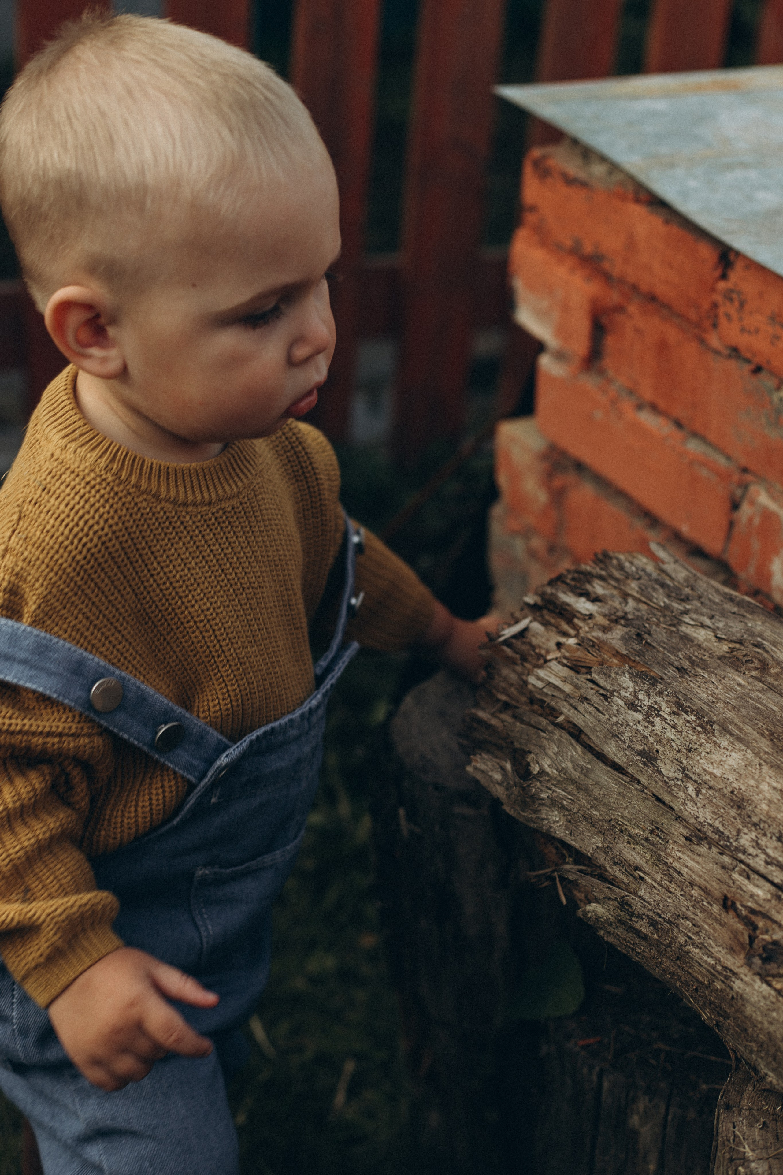 Морковная история 🥕🧡. Услуги