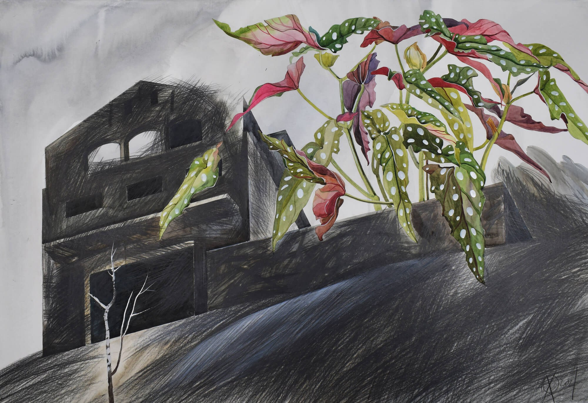 The house with a polka dot plant, 70/100, mixed media on paper, 2021