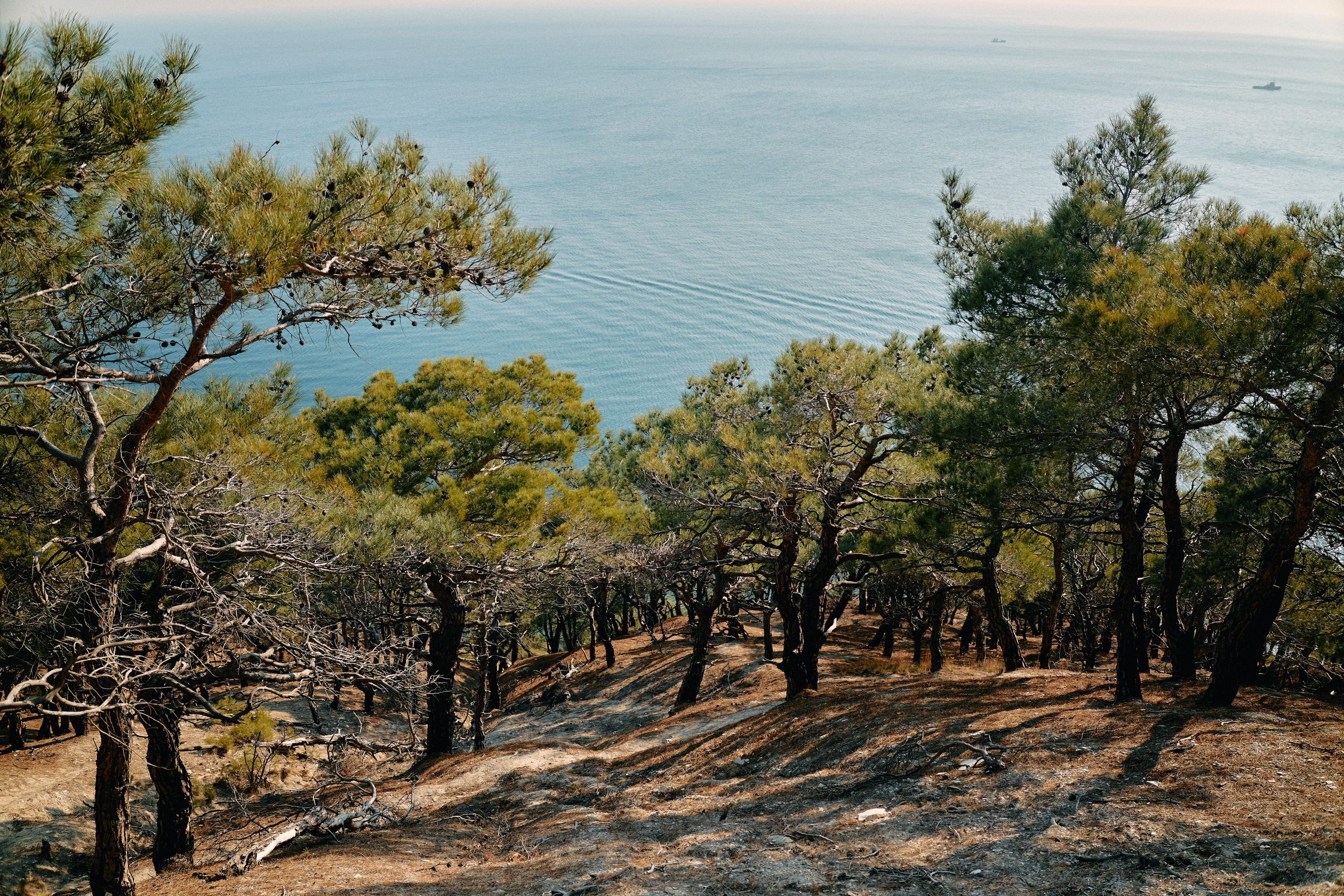 Юг России. Профессиональный Фотограф во Владимире, в Москве и в Суздале — Полина Романычева