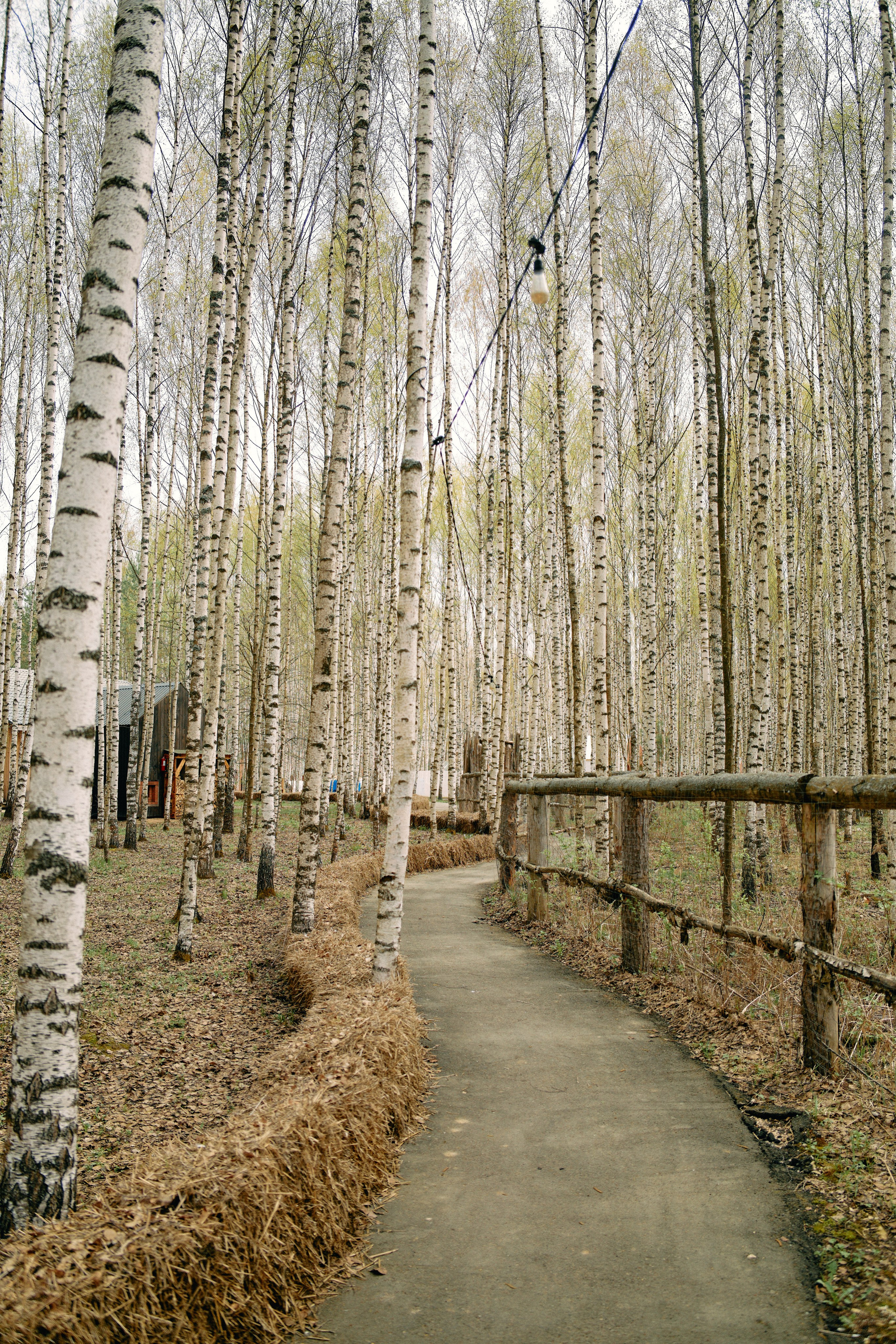 Бутик-отель Поле летом. Профессиональный Фотограф во Владимире, в Москве и в Суздале — Полина Романычева