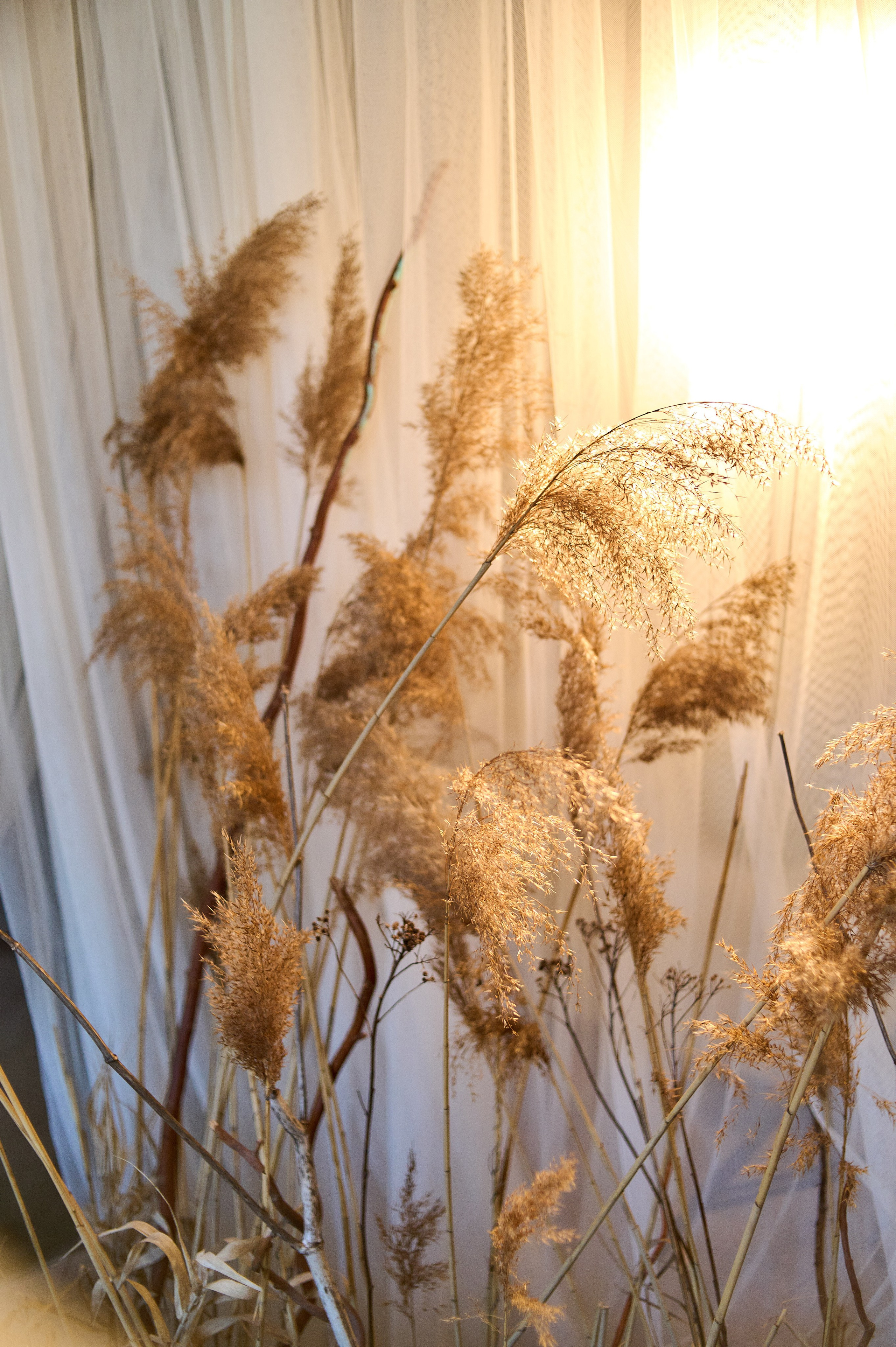 ***. Семейный и детский фотограф в г. Ногинске Ангелина Хасанова