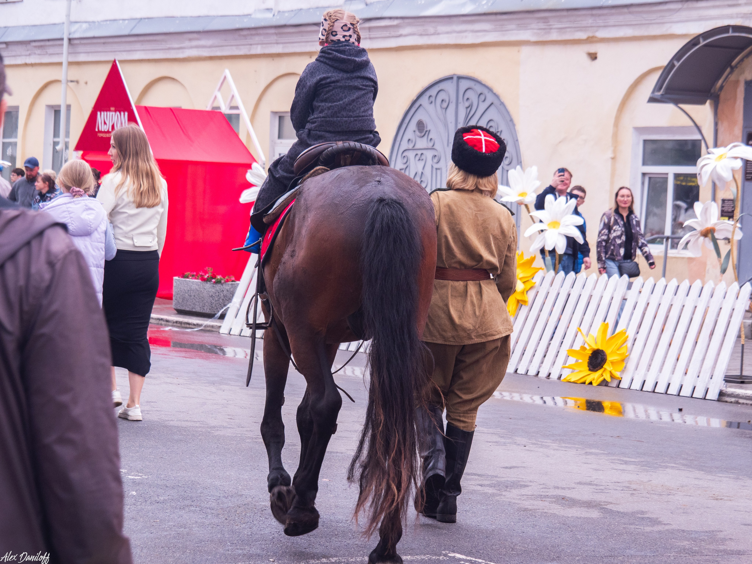 День города Муром 2025. Муром-Инфо. Новости культуры, образования, спорта в городе Муром