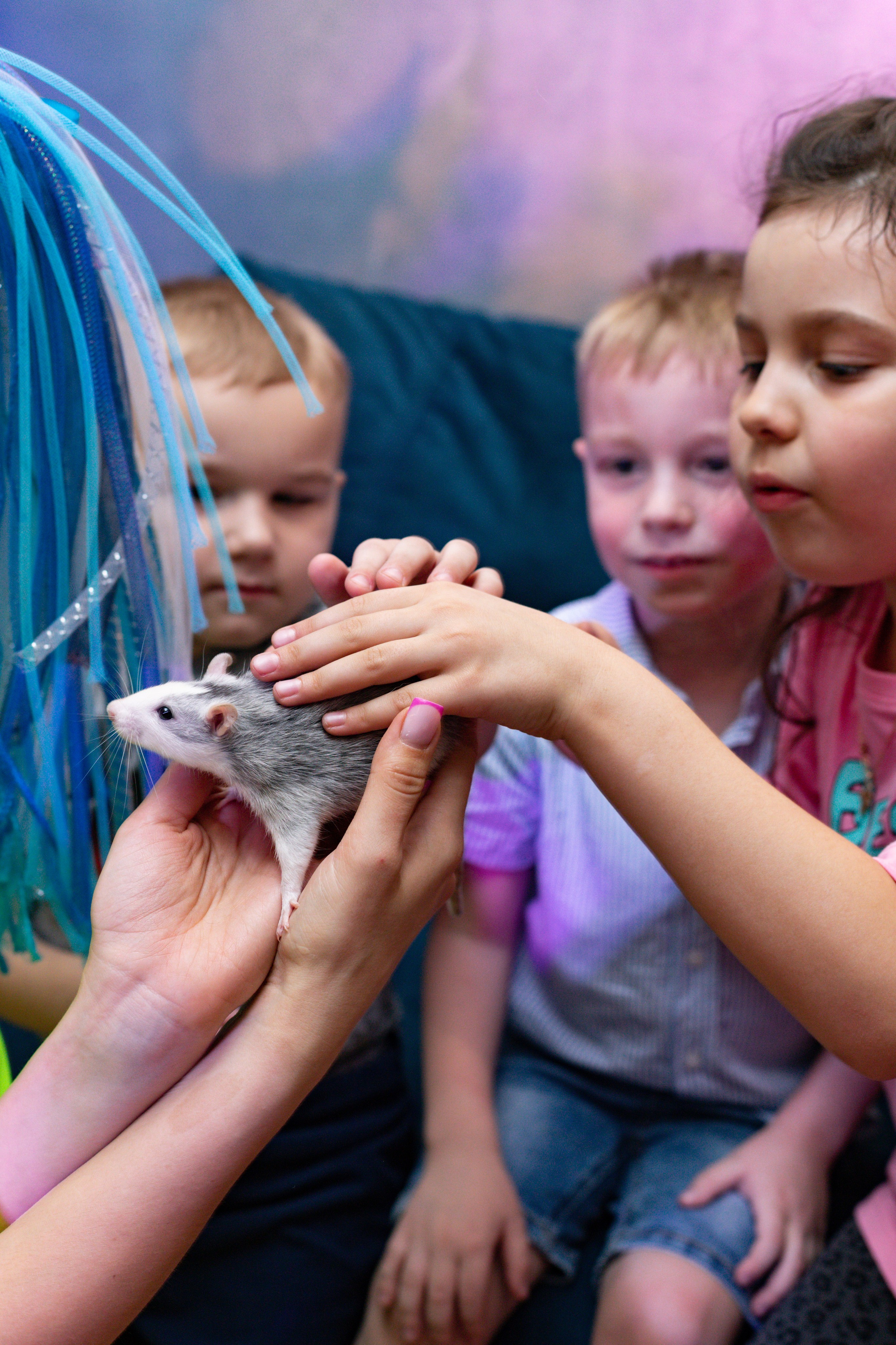 ZAHAR 5 YEAR / BIRTHDAY. Photokarish