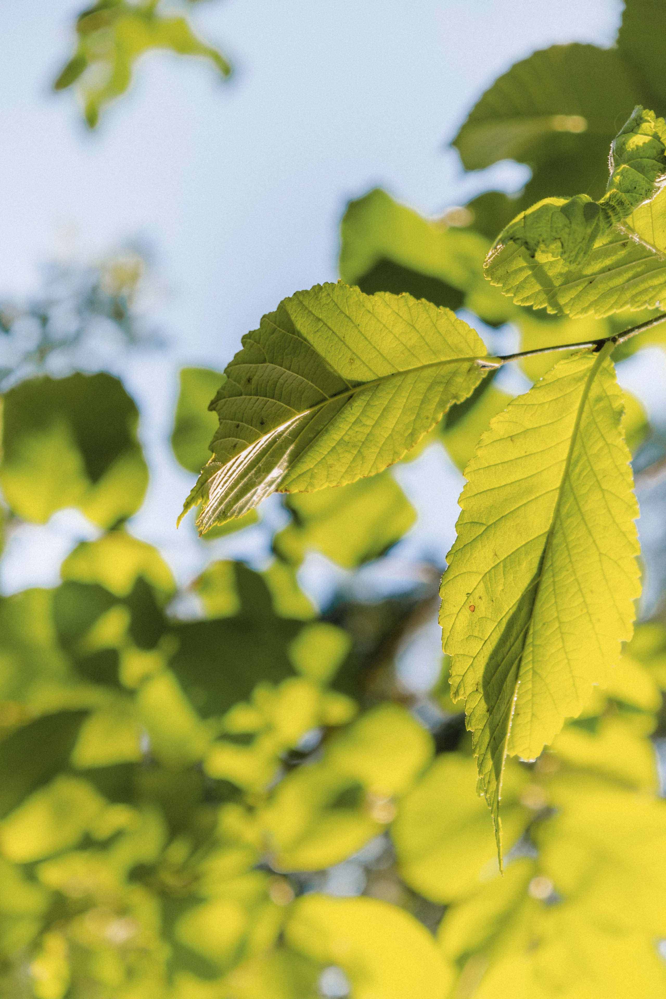 Замечательная повседневность. Контент-фотограф и видеограф в Перми