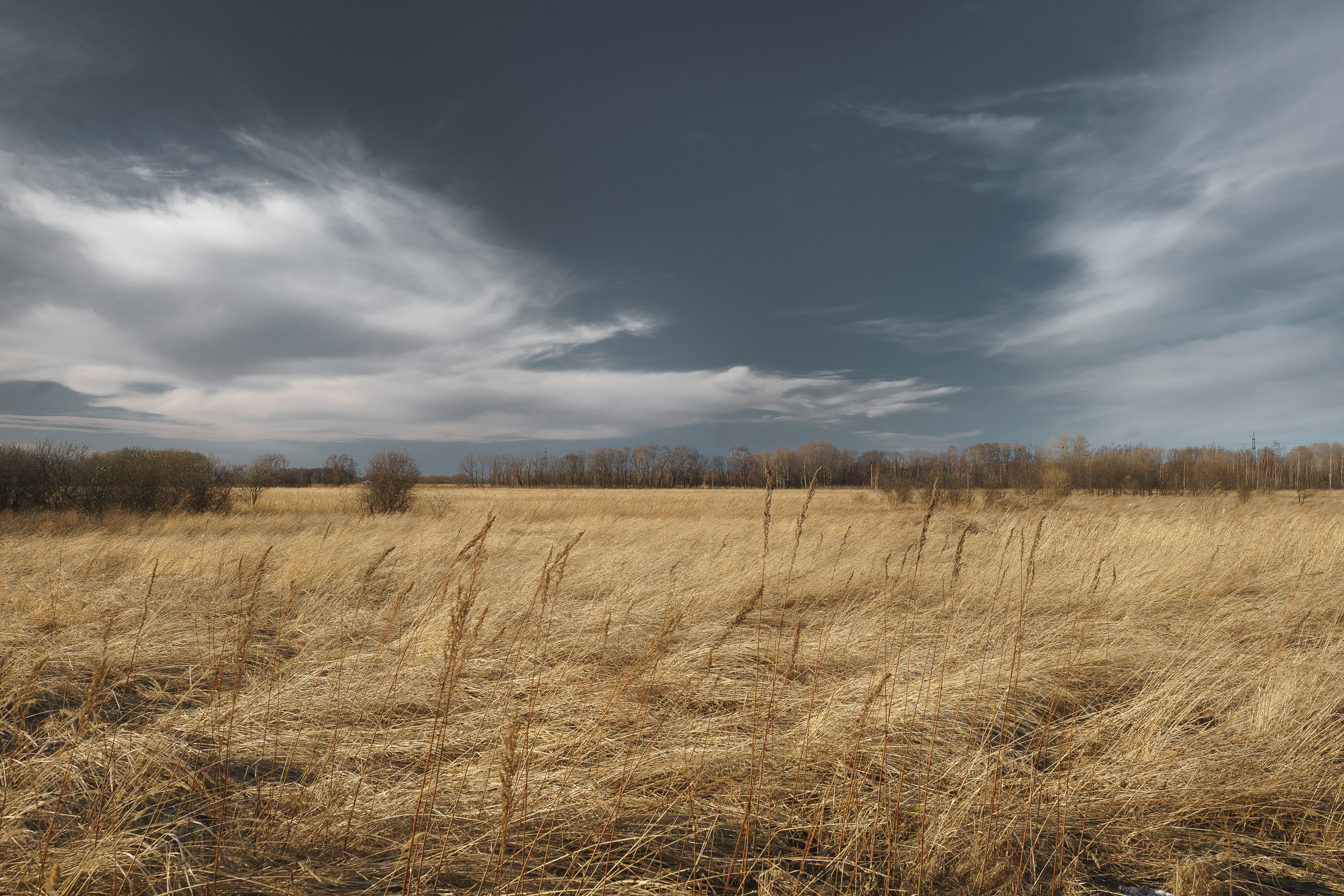 Пейзаж. Поле с сухой осенней травой и небом свинцового цвета.