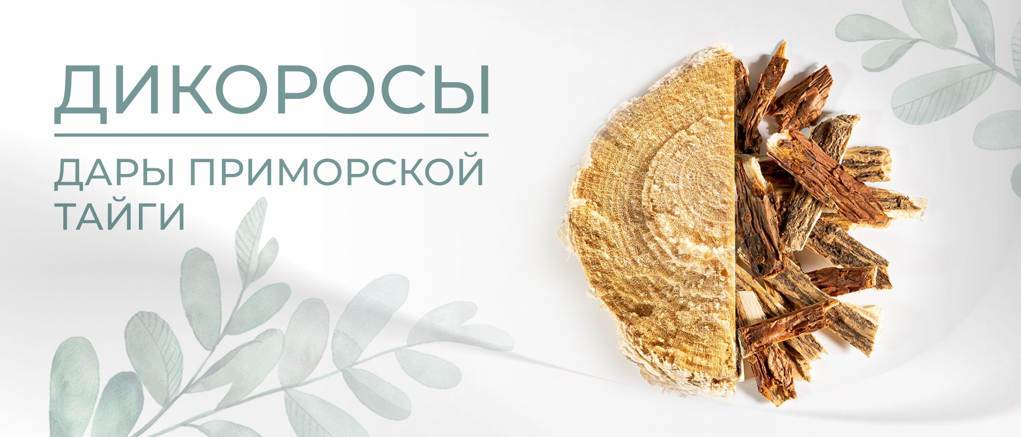 Обложки для разделов каталога и имджевая фотография, дикоросы и лекарственные травы