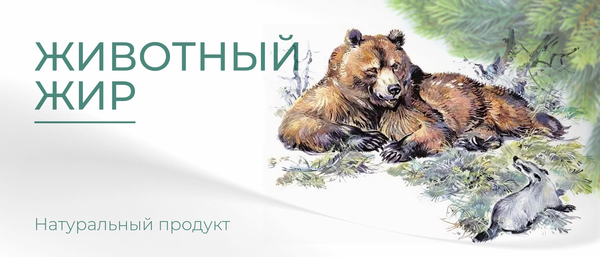 Обложки для разделов каталога и имджевая фотография, животные жиры