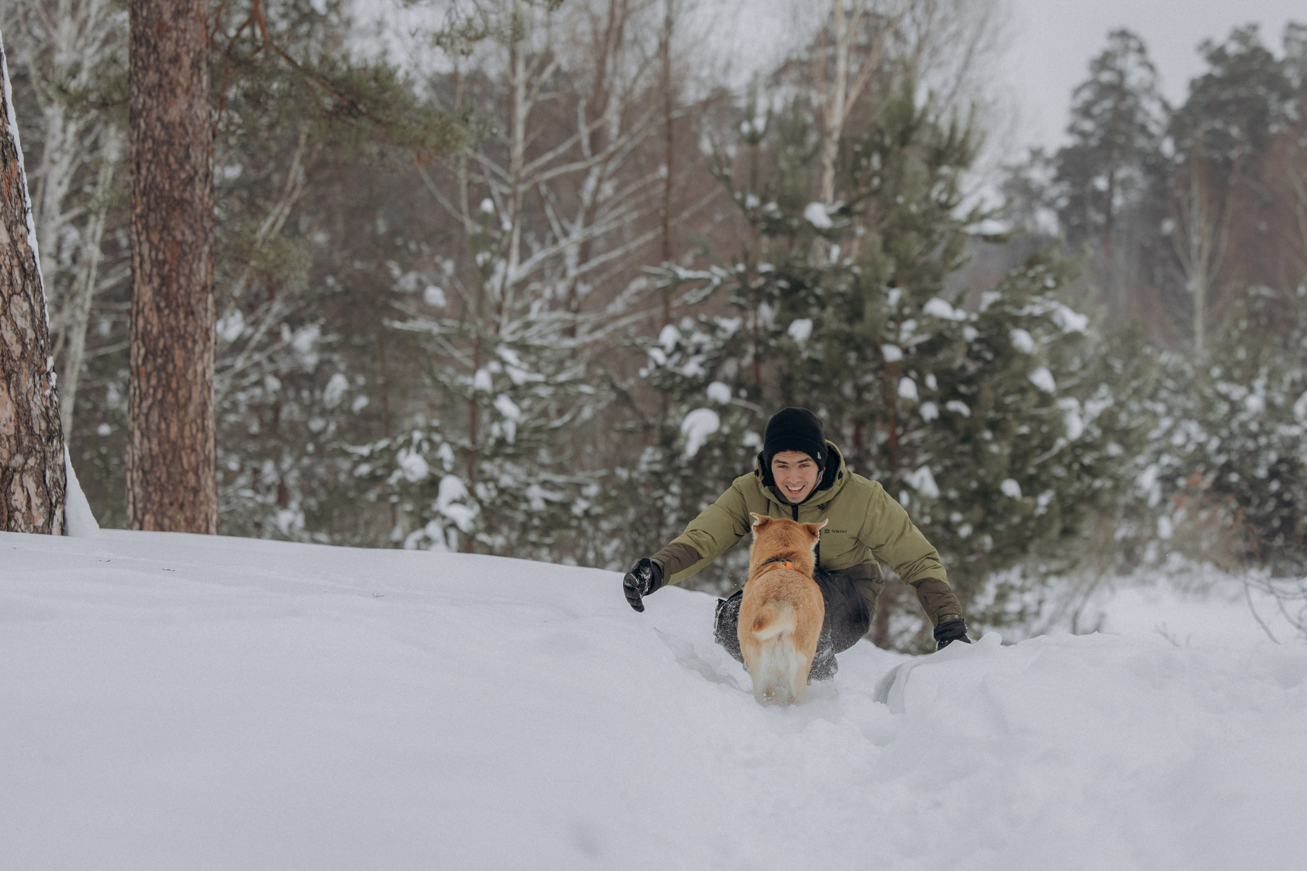 Прогулка на озере зимой. Фотограф анималист в Казани Алина Сулейманова. Фотограф животных