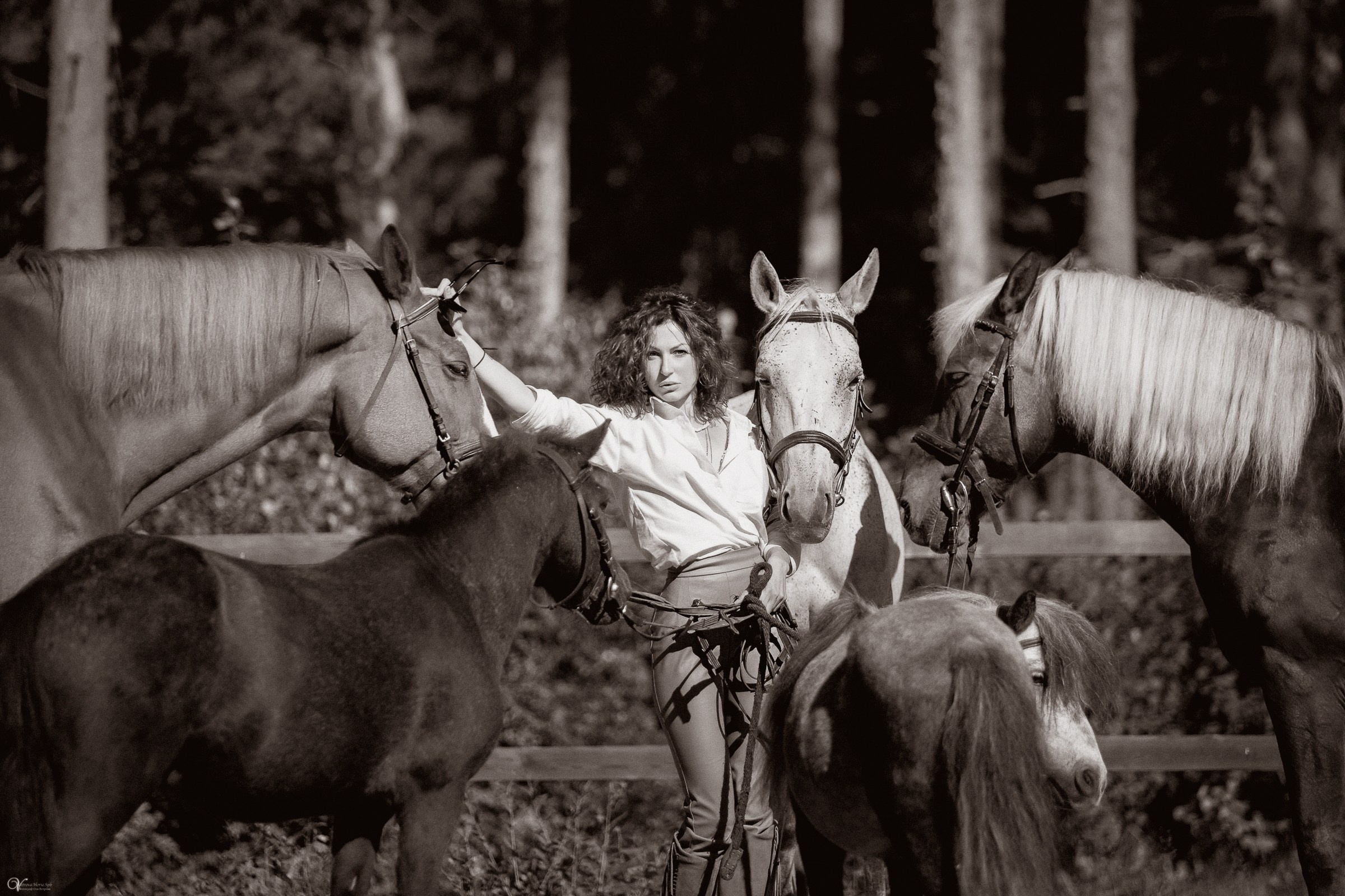 Фотосессия с лошадьми в кантри стиле. Фотограф женский и мужской портрет Санкт-Петербург