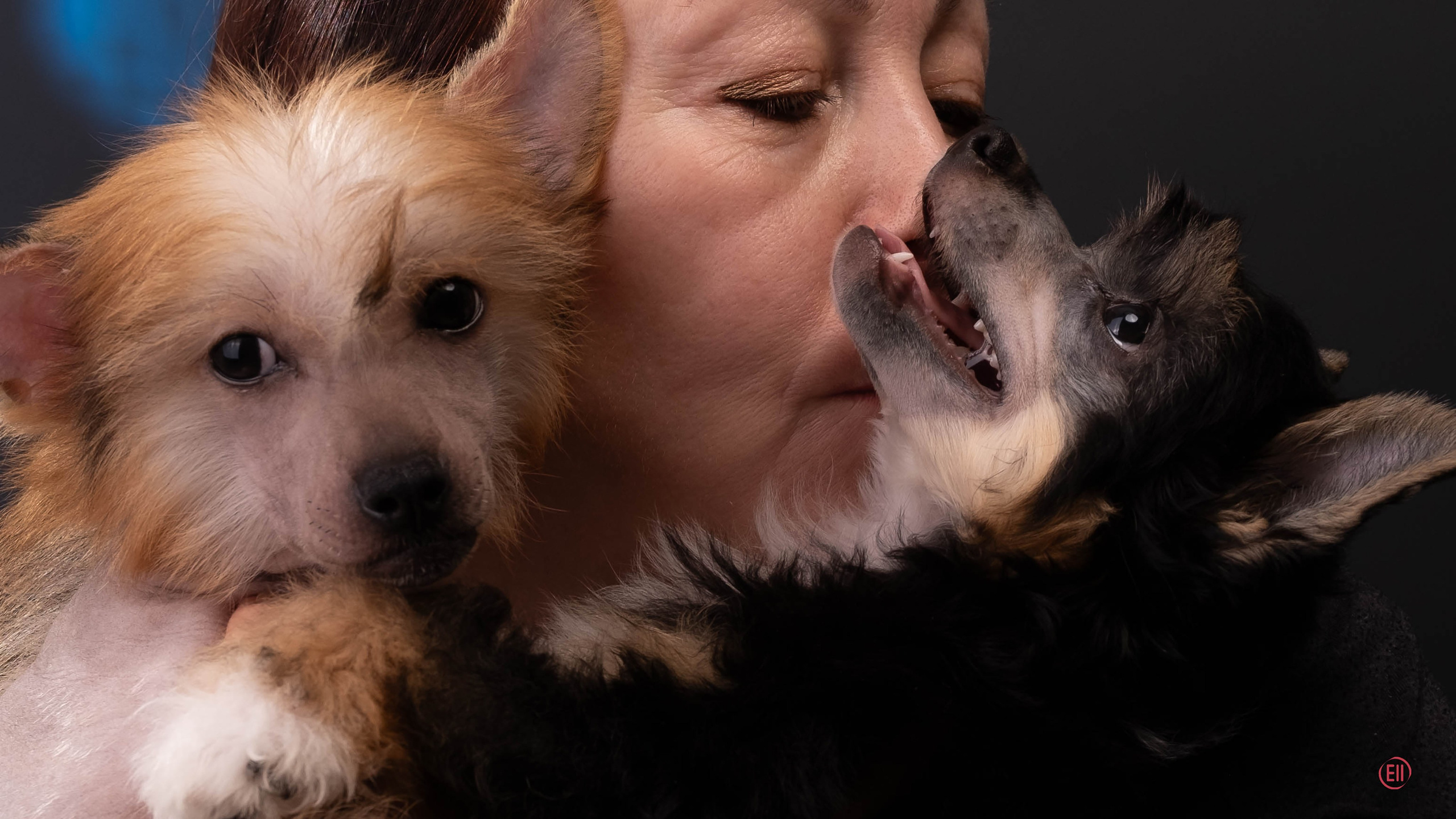 07.06.2025 Синяя фотосессия. Фотограф в Москве