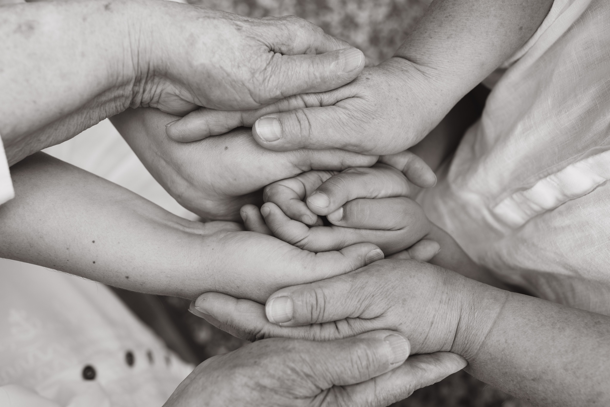 Когда семья вместе. Семейный фотограф Москва детский фотограф Одинцово фотосессия беременности Рогачева Екатерина