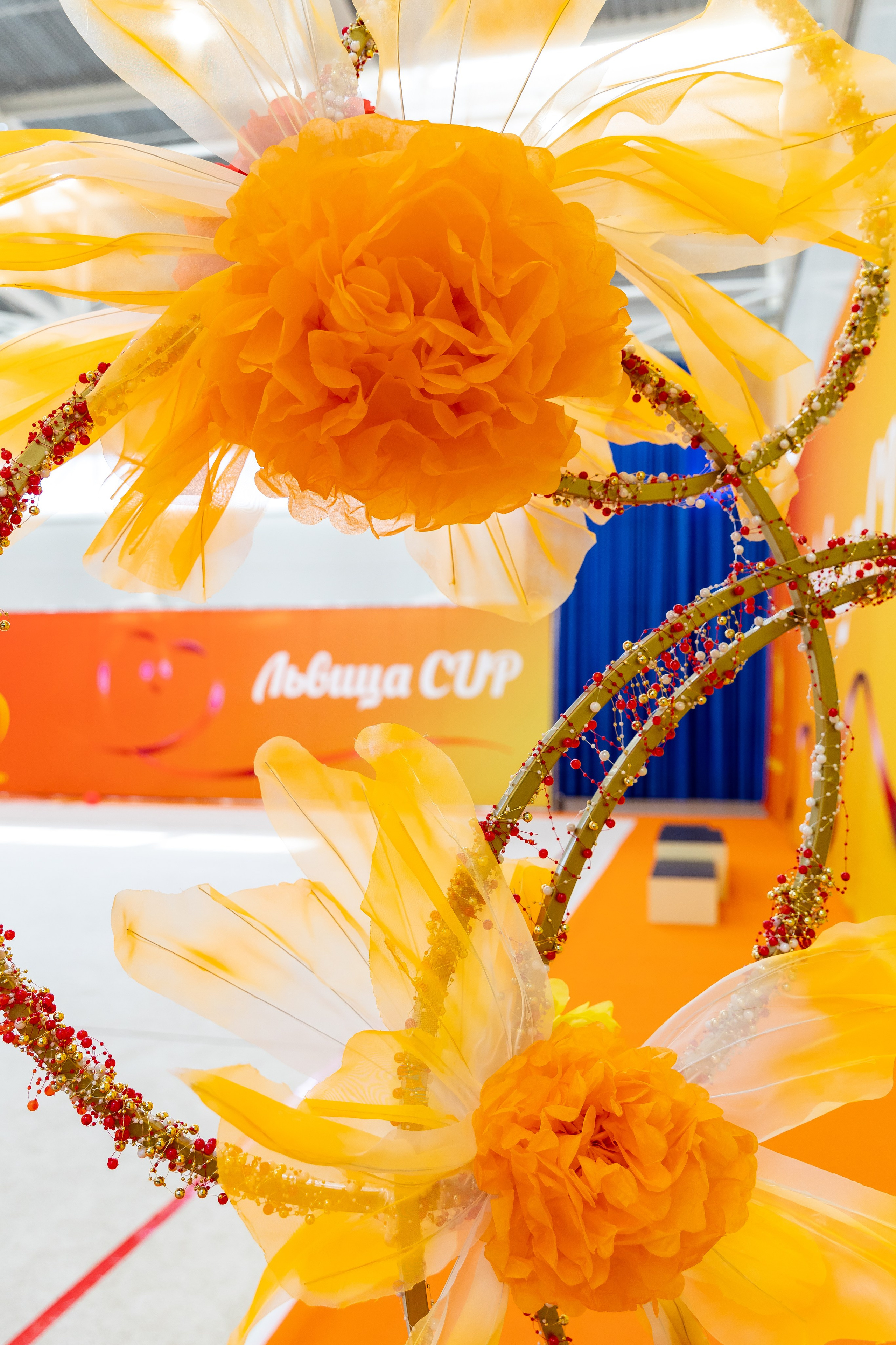 Турнир «Львица Cup» 15.03.2026. Фото и видео съемка Ваших мероприятий