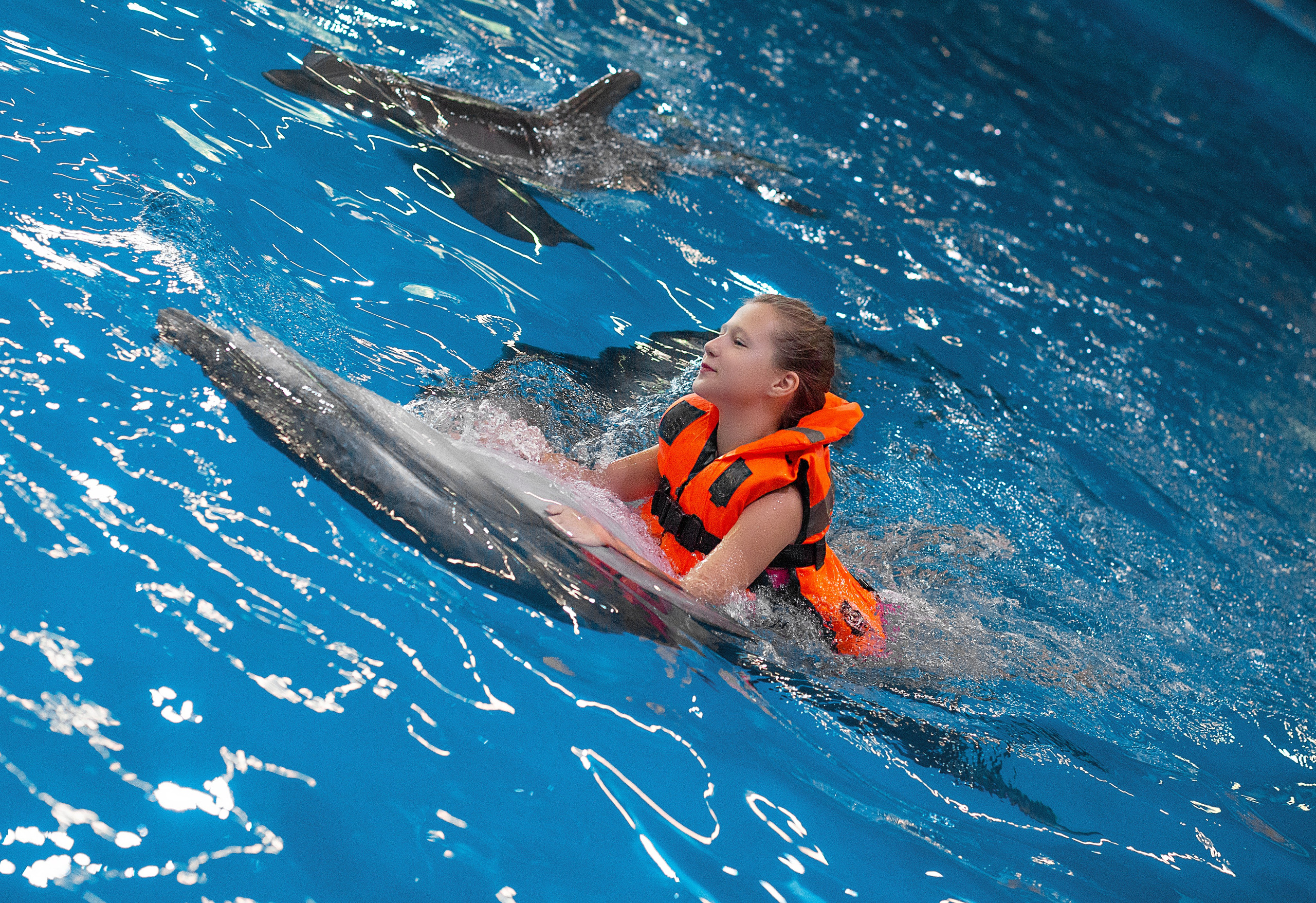 Катя и дельфины. Фотосессия с лошадьми в Нижнем Новгороде