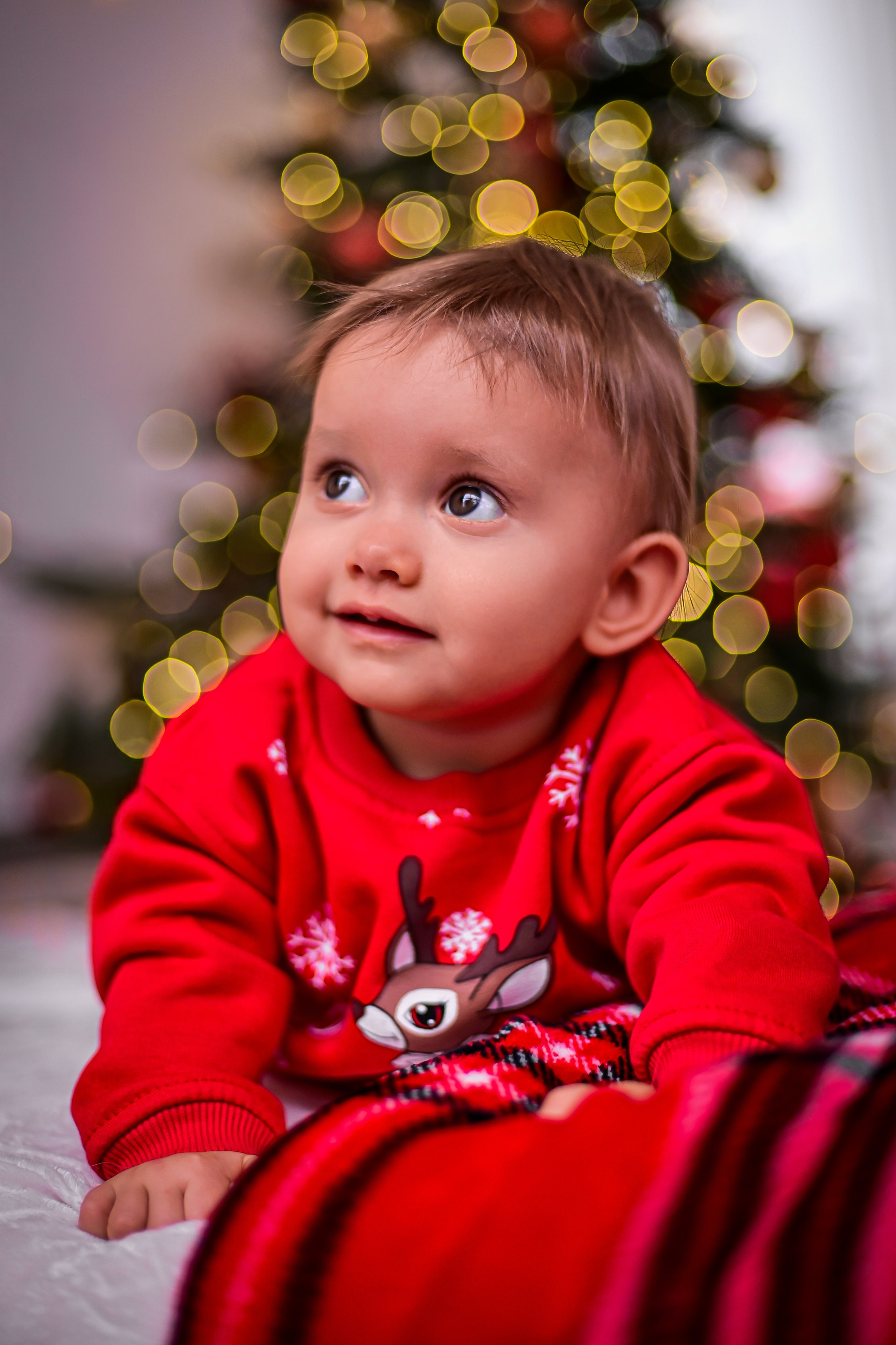 Детские фотографии. Семейный и свадебный фотограф в Донецке Донская Анастасия