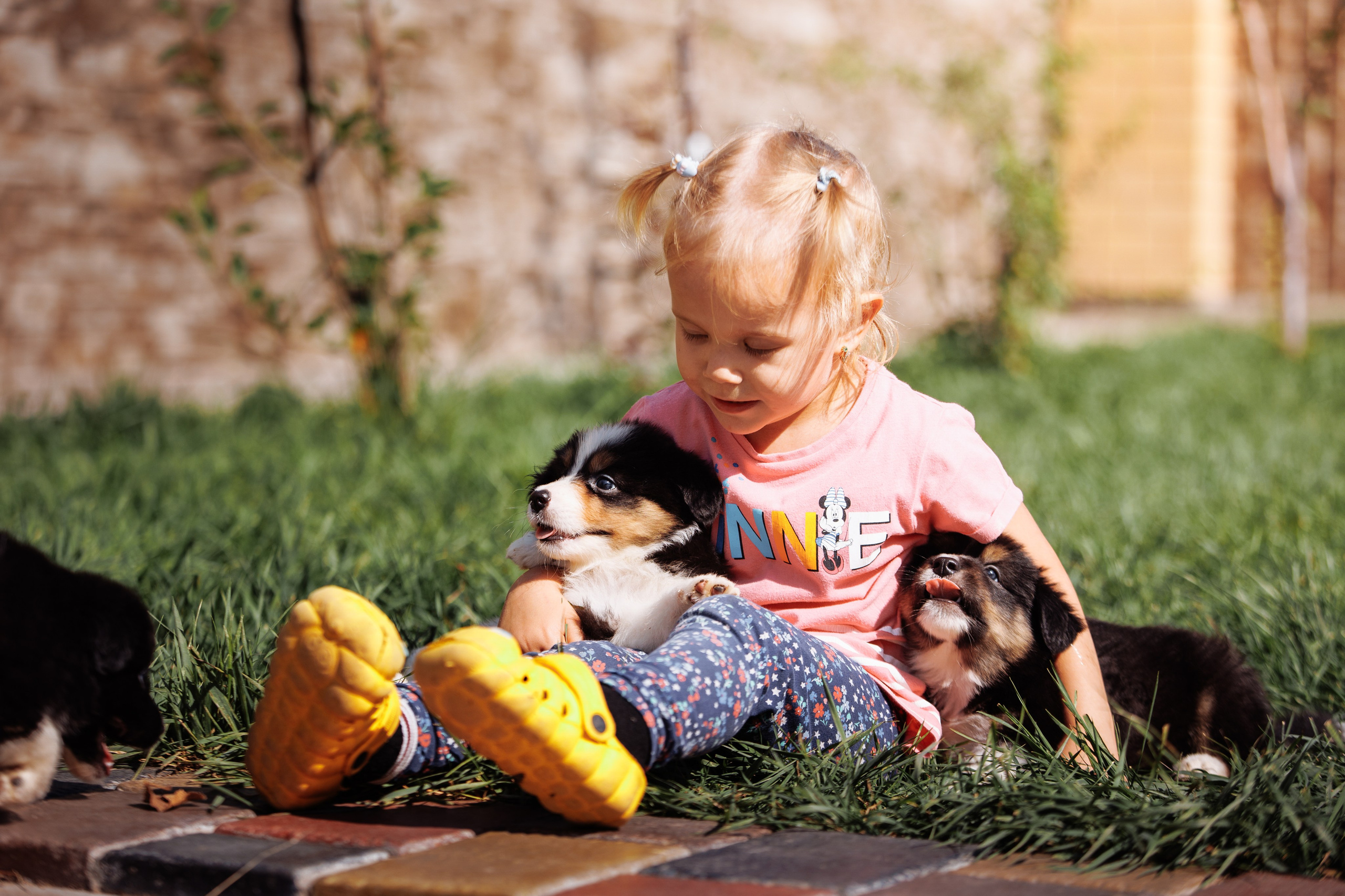 МММ — маленькое мягкое милое. О нас