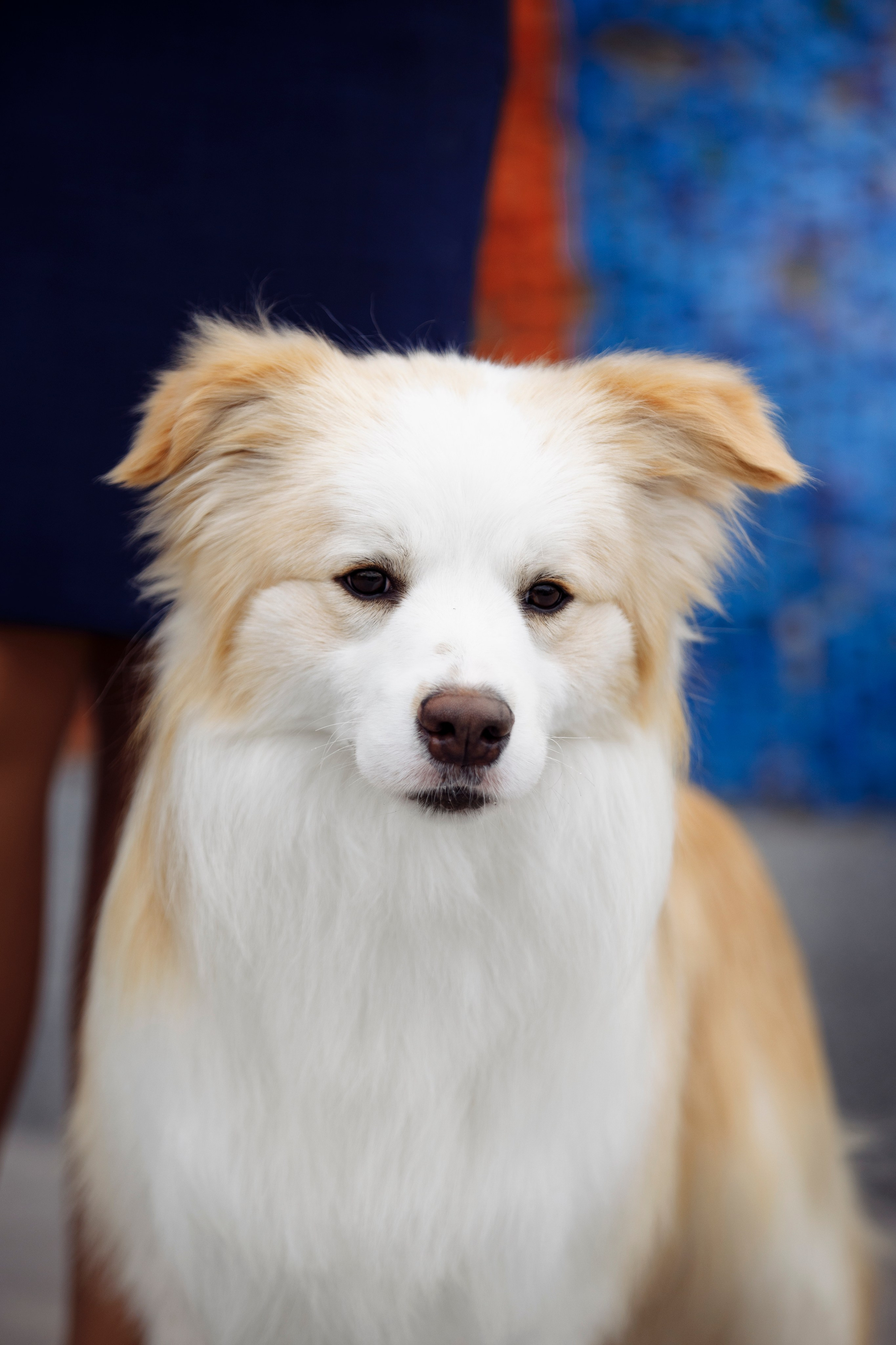 Магнитка 22. О нас