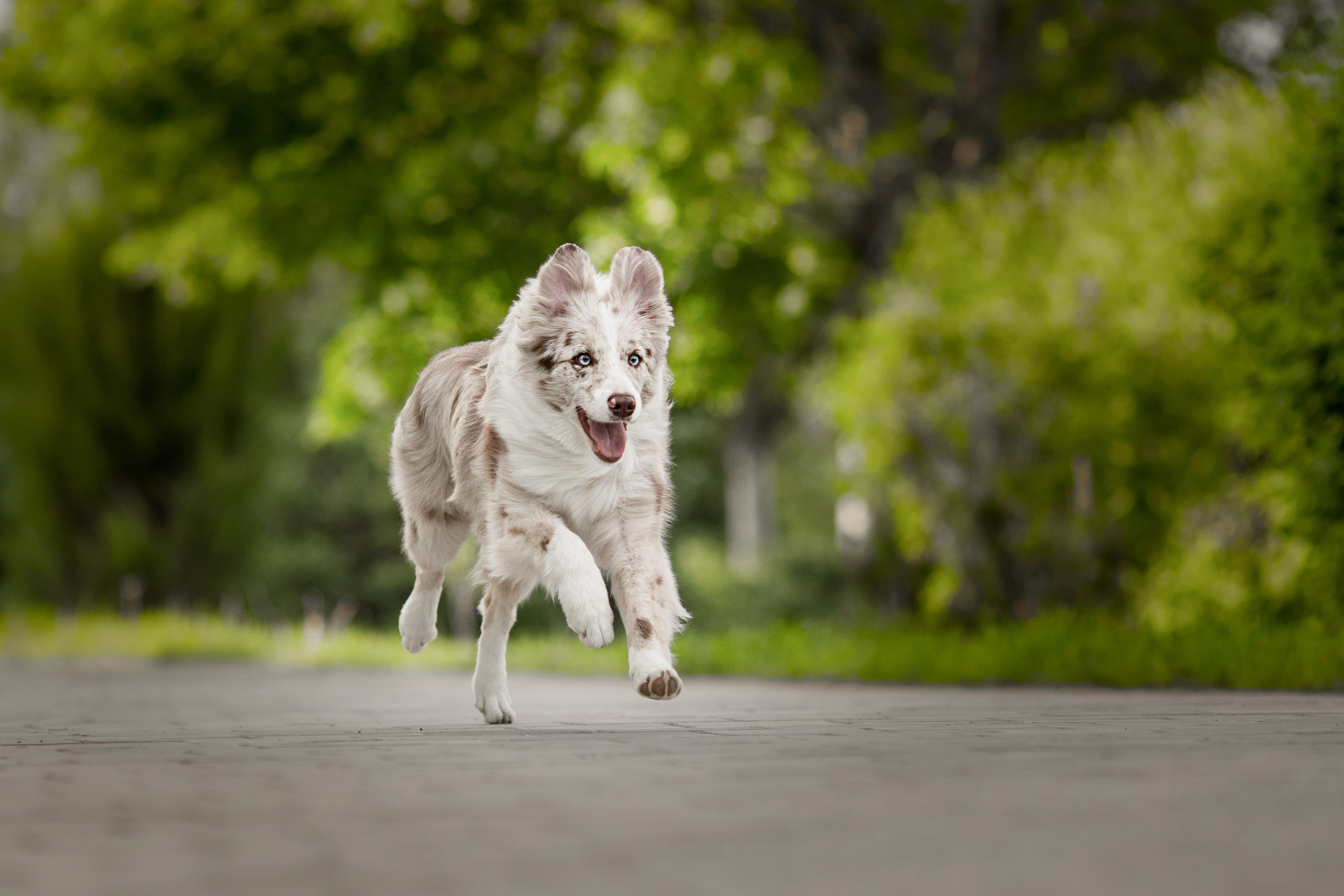 Роскошь в ростошах. О нас