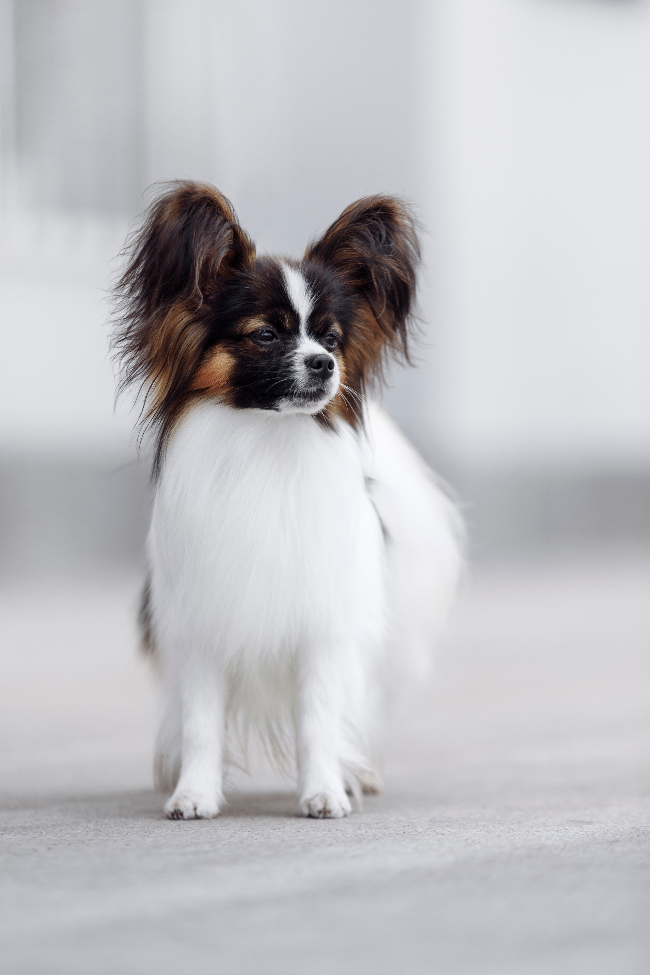 Магнитка 22. О нас