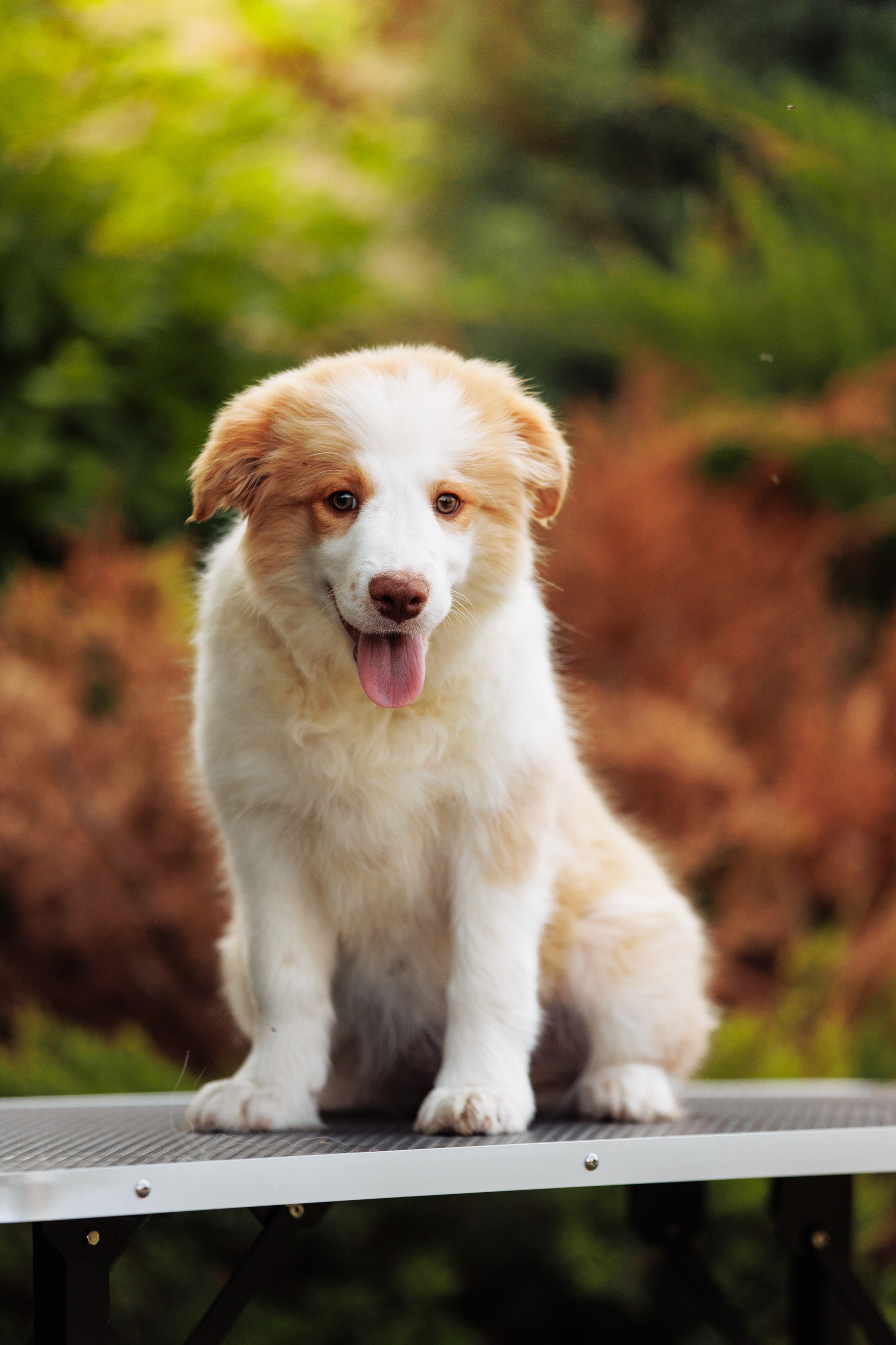 СОлнечные. О нас