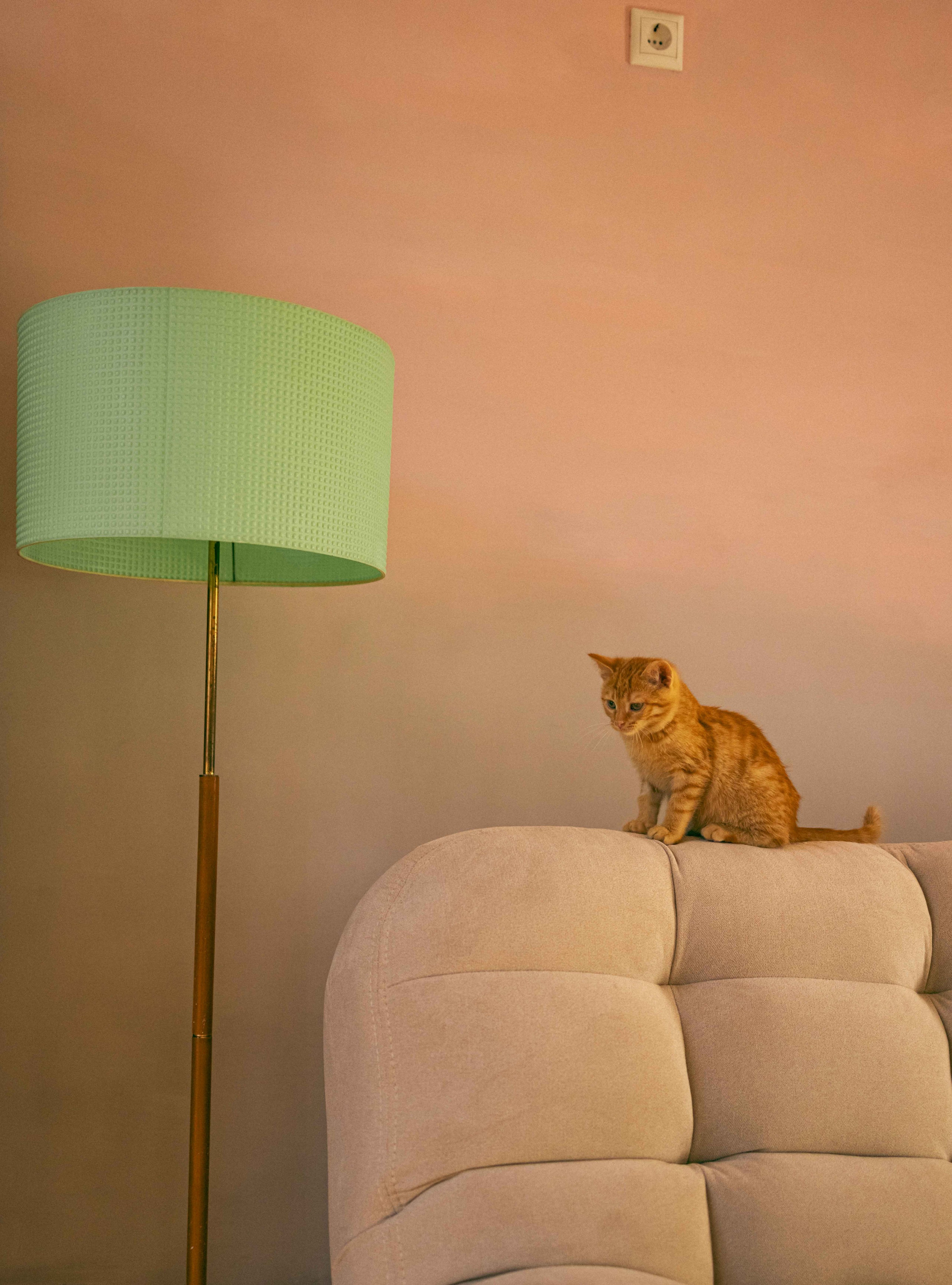 Кускус. Фотограф-анималист в Москве Лера Черноног