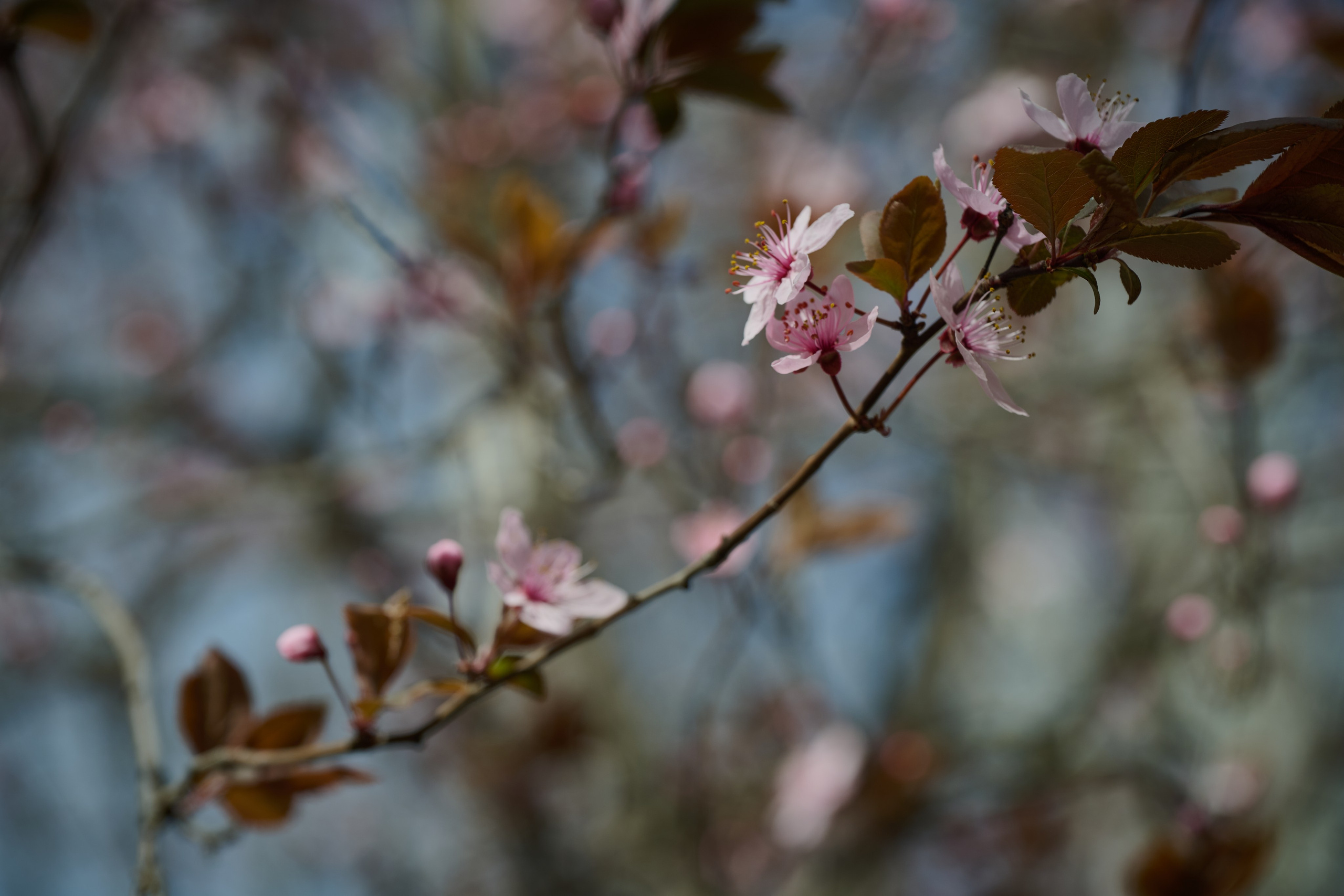 Фото для презентации фотопроекта «Территории». Фотопроект «Территории»