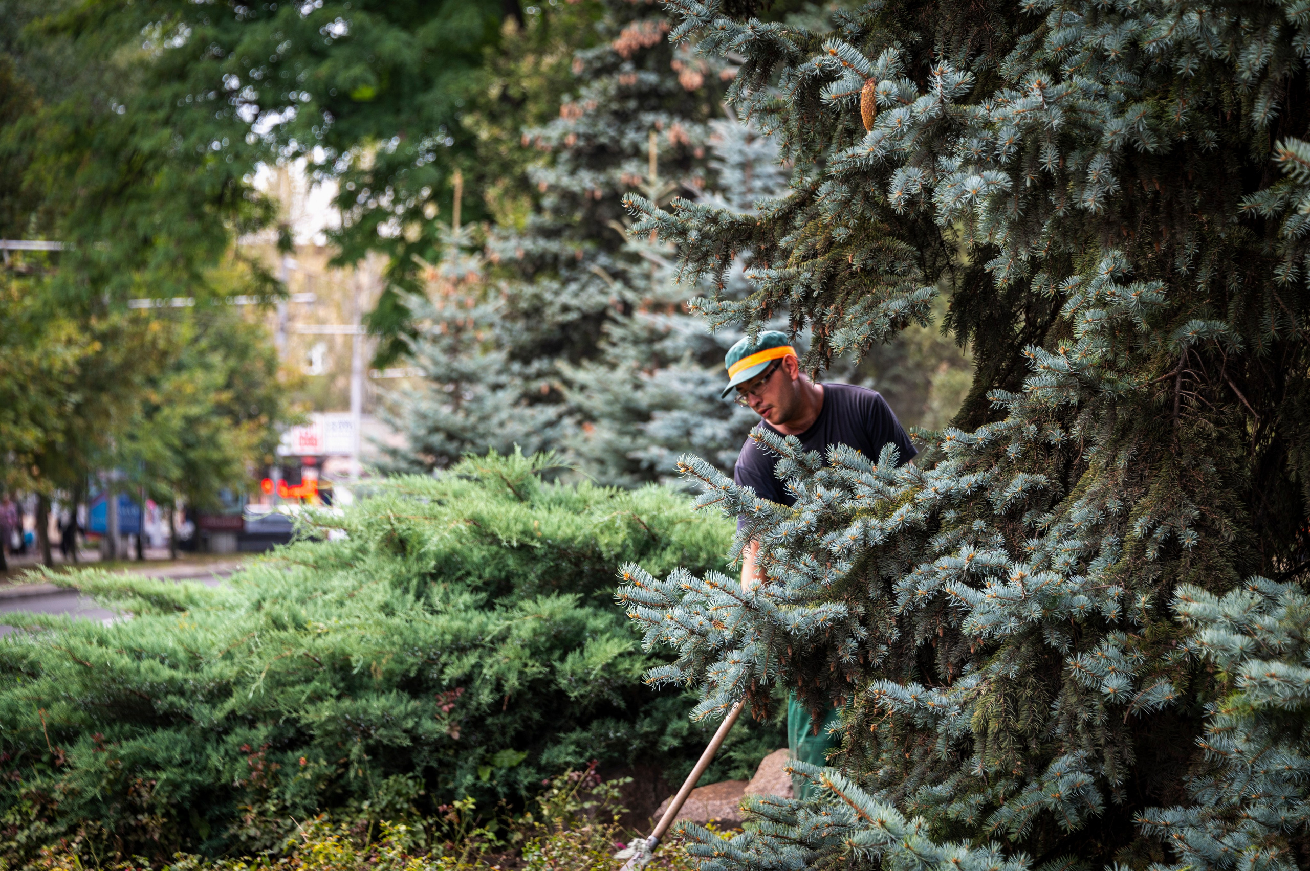 Донецк. Фотопроект «Территории»