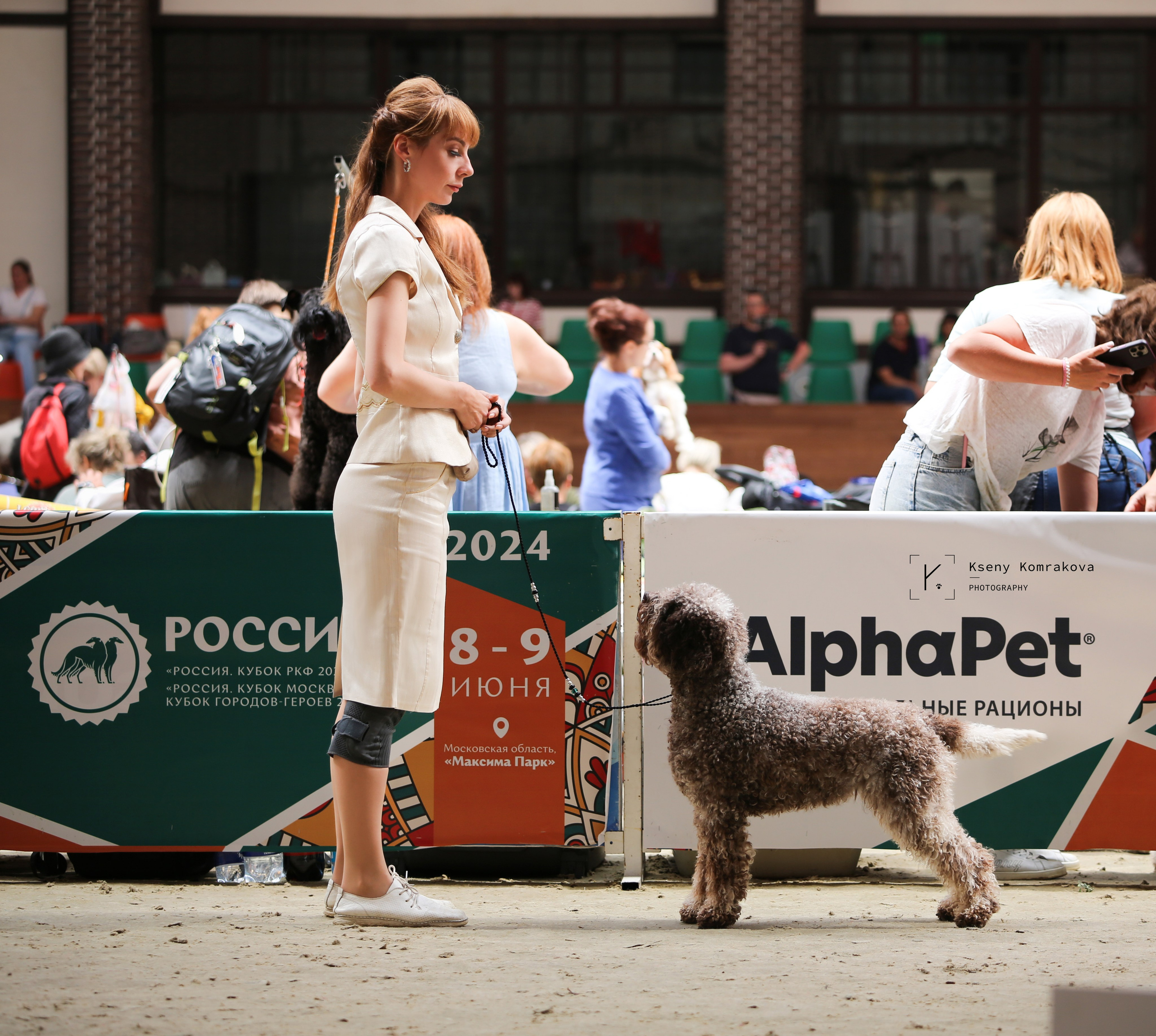 Съемка собак. Анималистика. Репортаж. Индивидуальная съемка