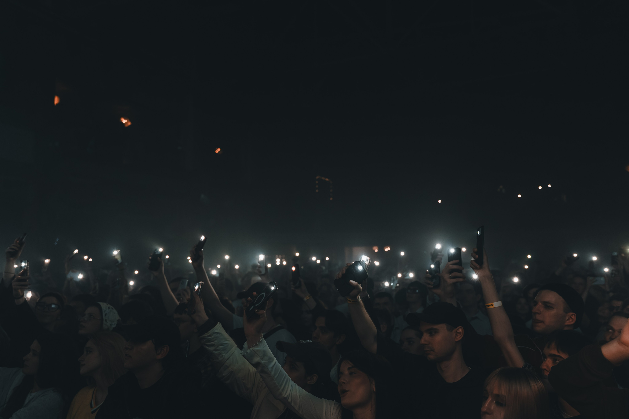 SALUKI. Фотограф Санкт-Петербурга