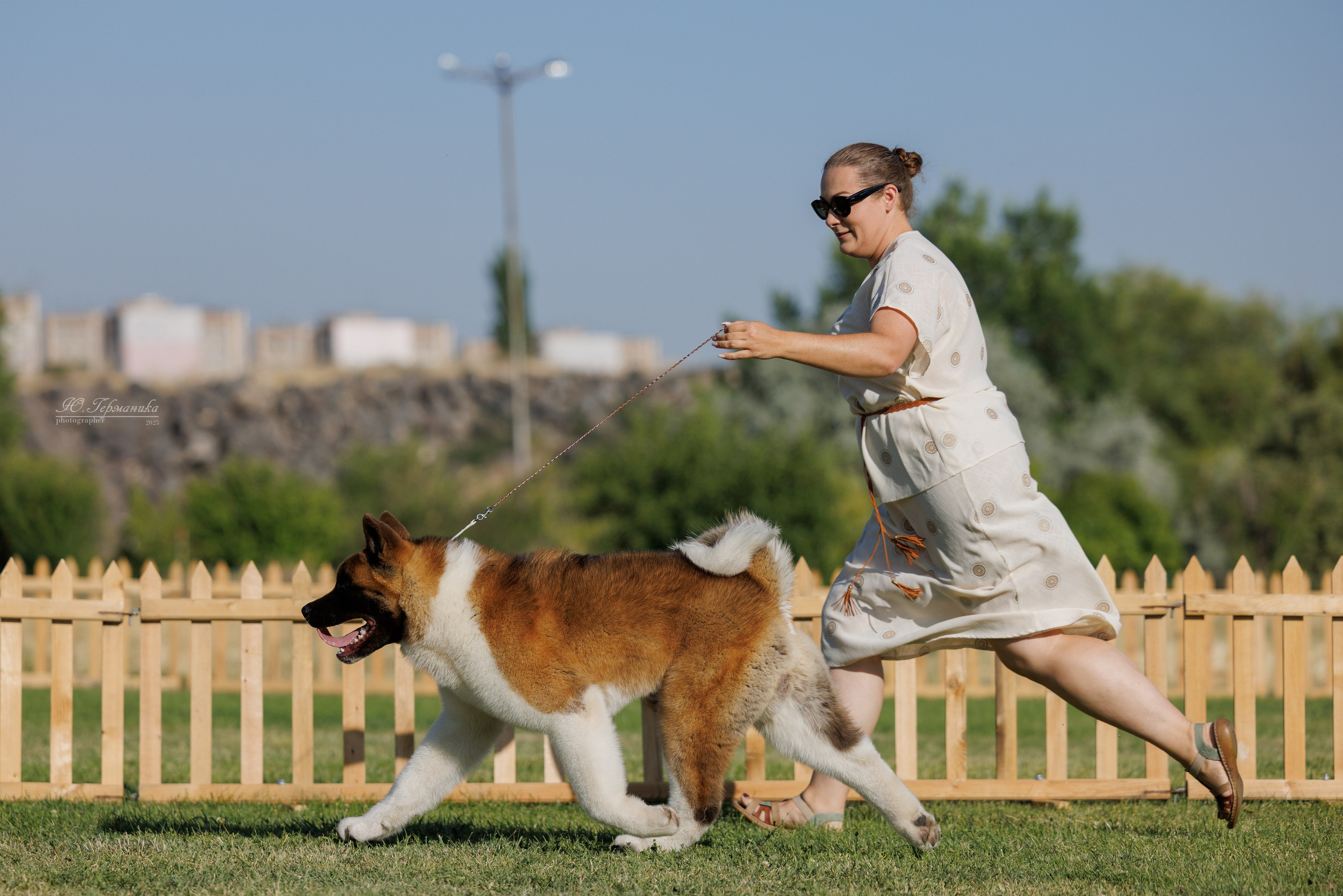 Ереван 3хCACIB 23-25.06.2025. Фотограф-анималист Юлия Германика