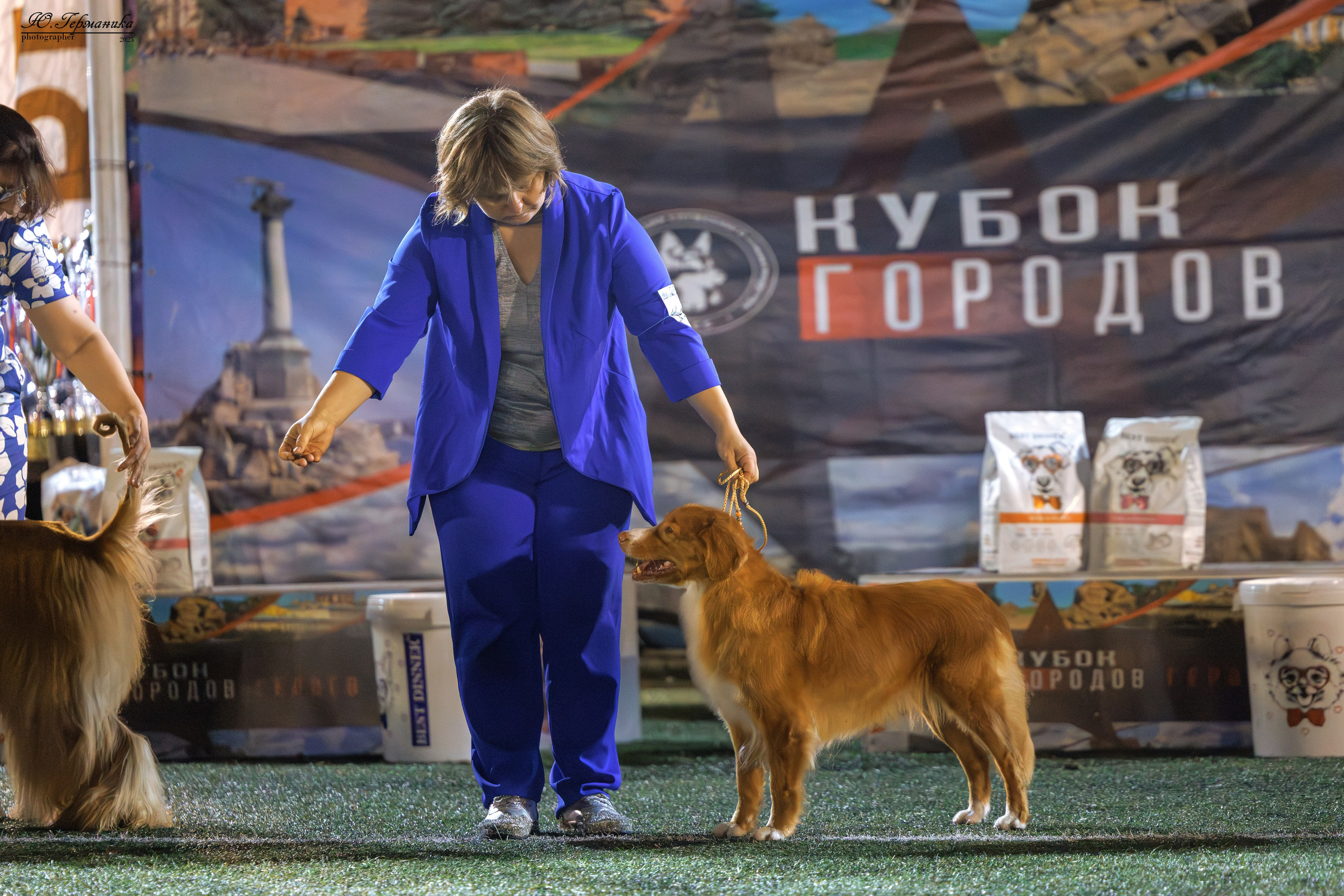 Калининград 25-27.07 Волгоград 1-3.08 2025. Фотограф-анималист Юлия Германика