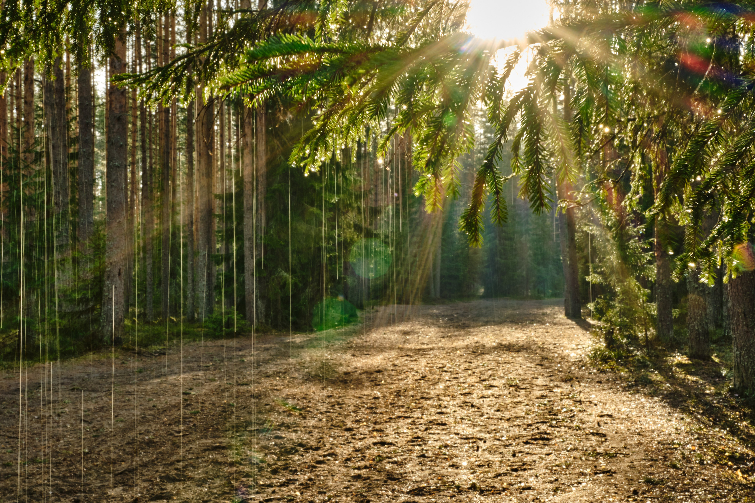 Zaoksky.Photo Санкт-Петербург