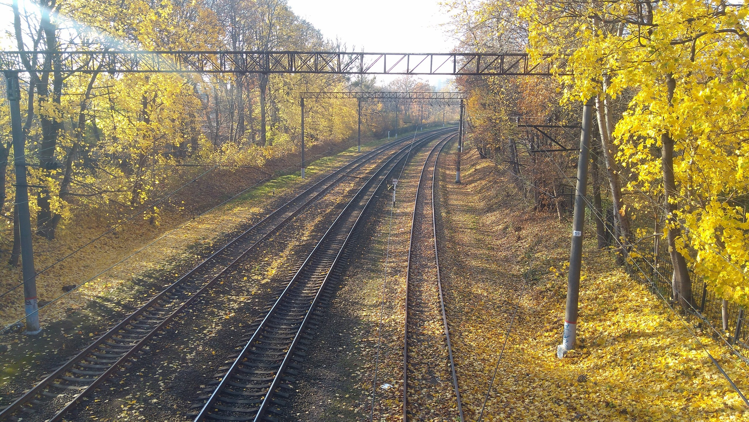Калининград | 03-05.11.2018. Галерея Фантим