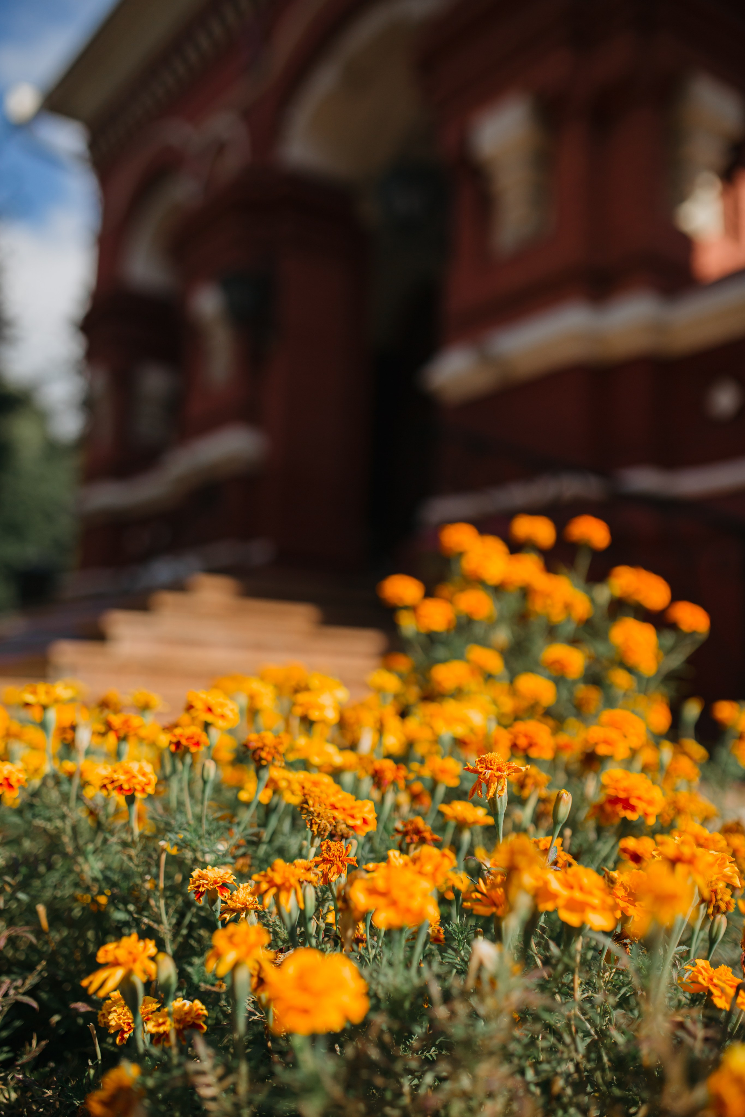 Церковь Покрова Пресвятой Богородицы в Осеченках г. Раменское. Свадебный и семейный фотограф